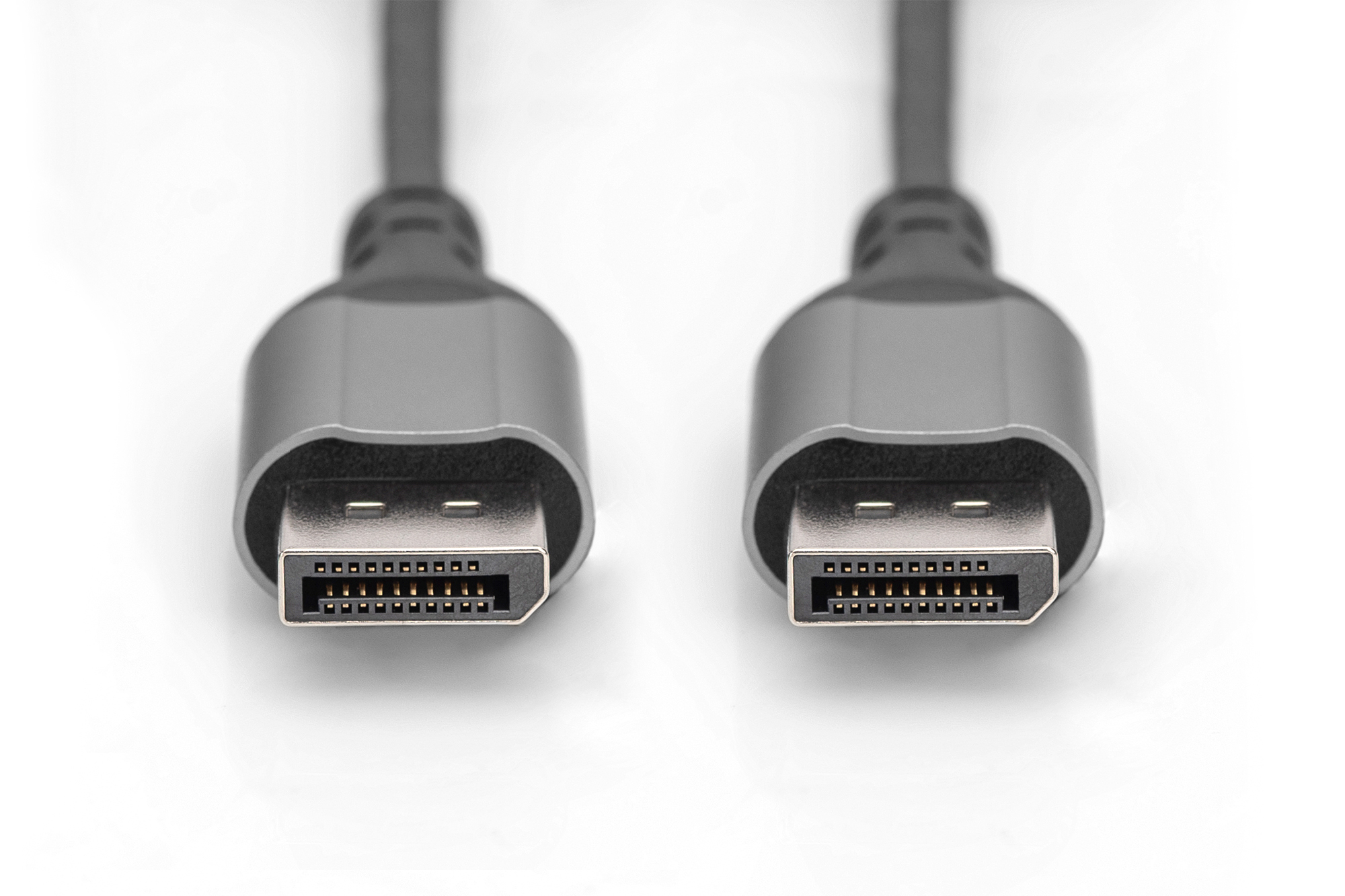 Due connettori DisplayPort grigi su sfondo bianco.