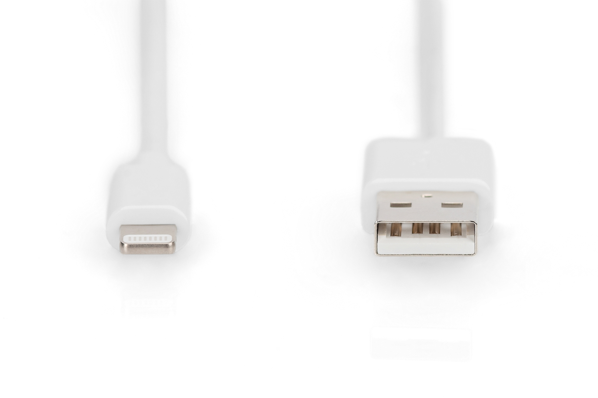 Biały kabel USB do Lightning. Biały kabel i złącza na białym tle.