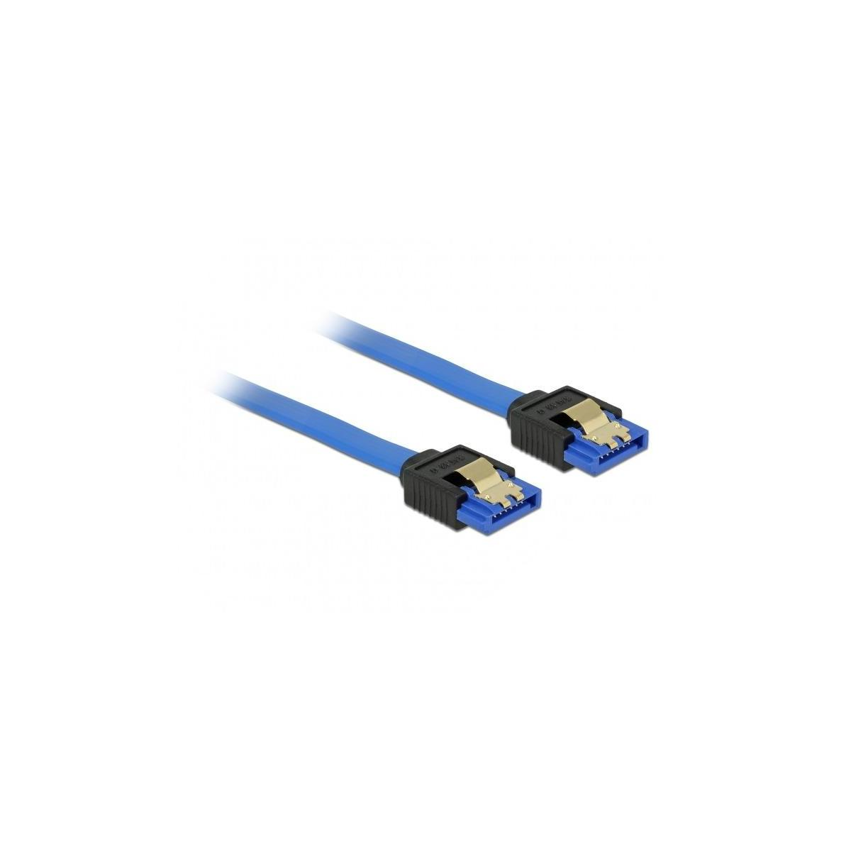 Due cavi SATA blu con connettori neri, su sfondo bianco. La lunghezza è di 20 cm.