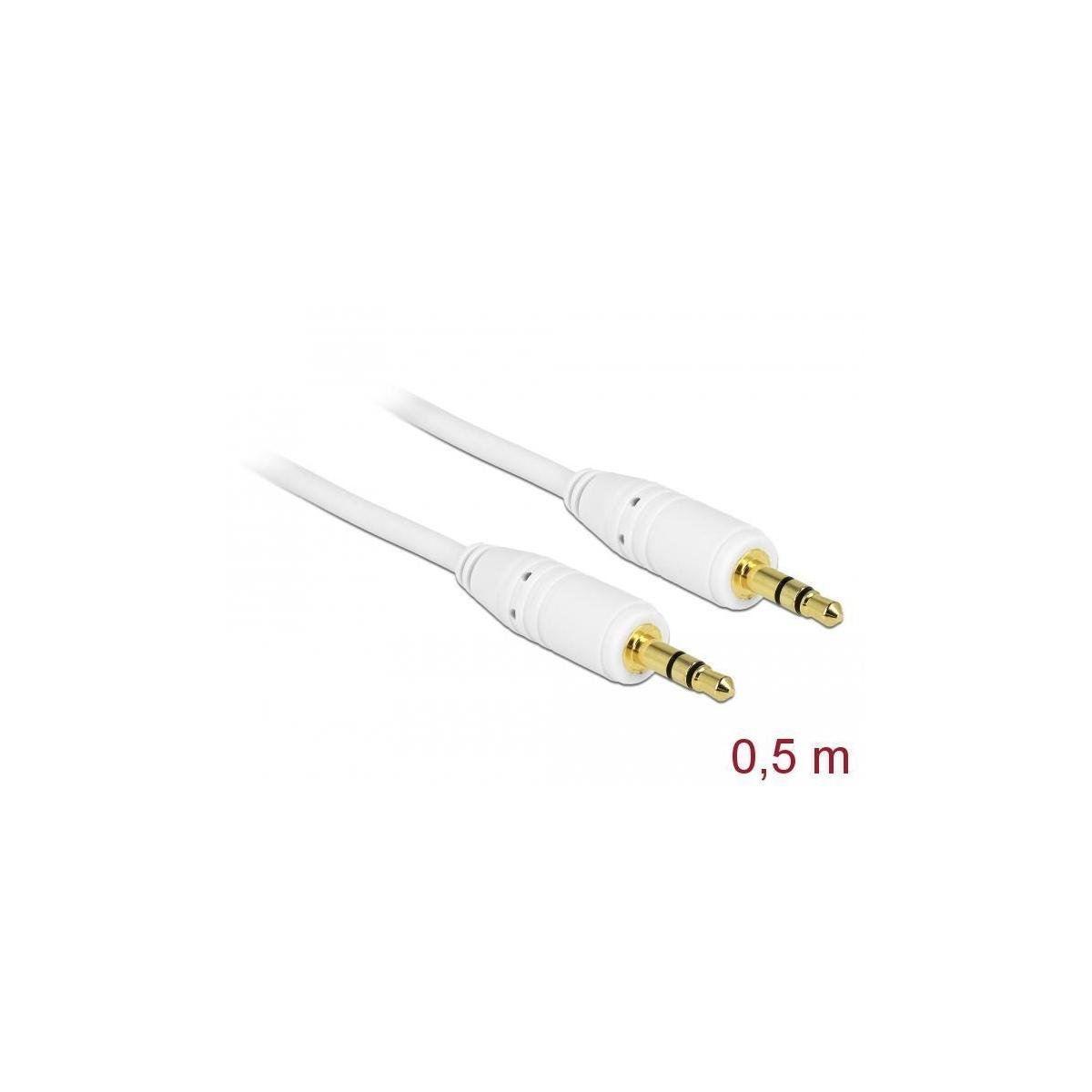 Due cavi audio bianchi con connettori dorati. La lunghezza è di 0,5 m, su sfondo bianco.