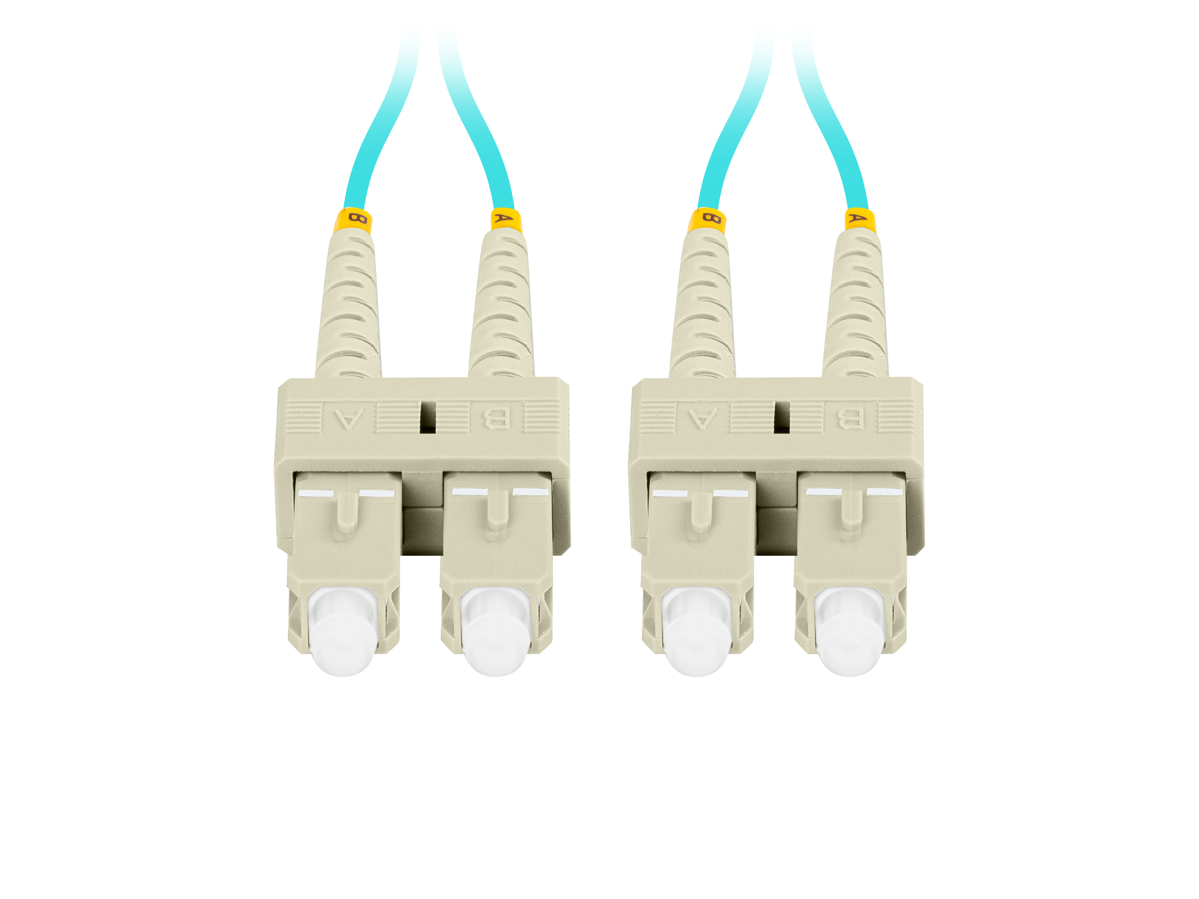 Due cavi in fibra ottica con connettori beige e cavi blu su sfondo bianco.