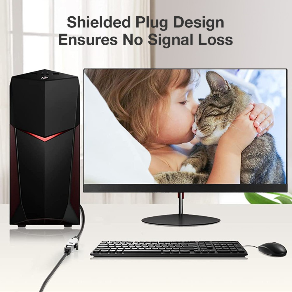 Un desktop e un monitor. Il cavo Cat6 è collegato al computer. Testo: Il design della spina schermata garantisce l'assenza di perdita di segnale.