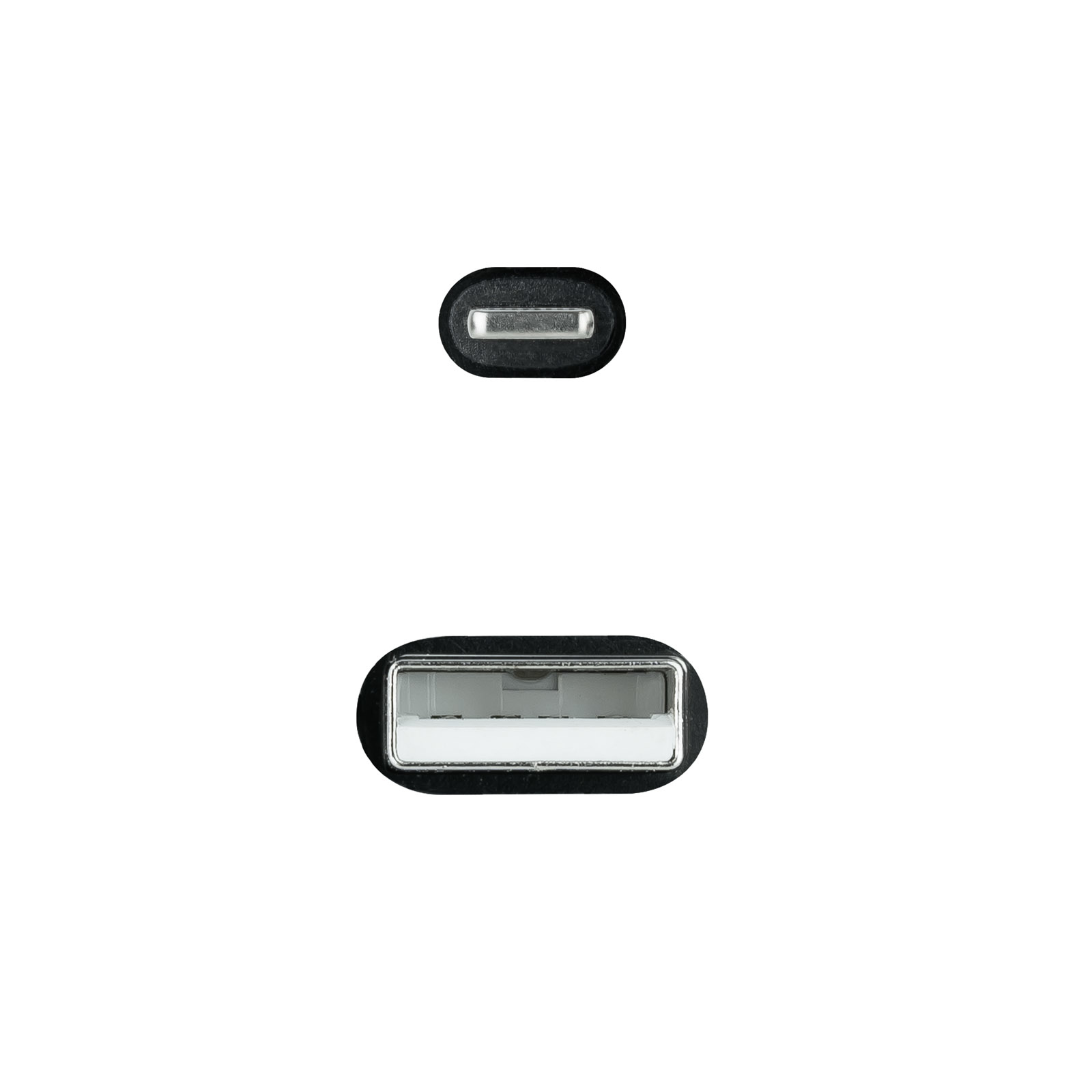 Due connettori USB-C neri, una vista dall'alto e l'altra dal basso, sfondo bianco.