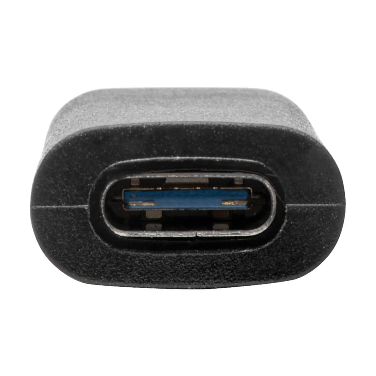Primo piano di un connettore USB-C con interno blu su sfondo bianco.