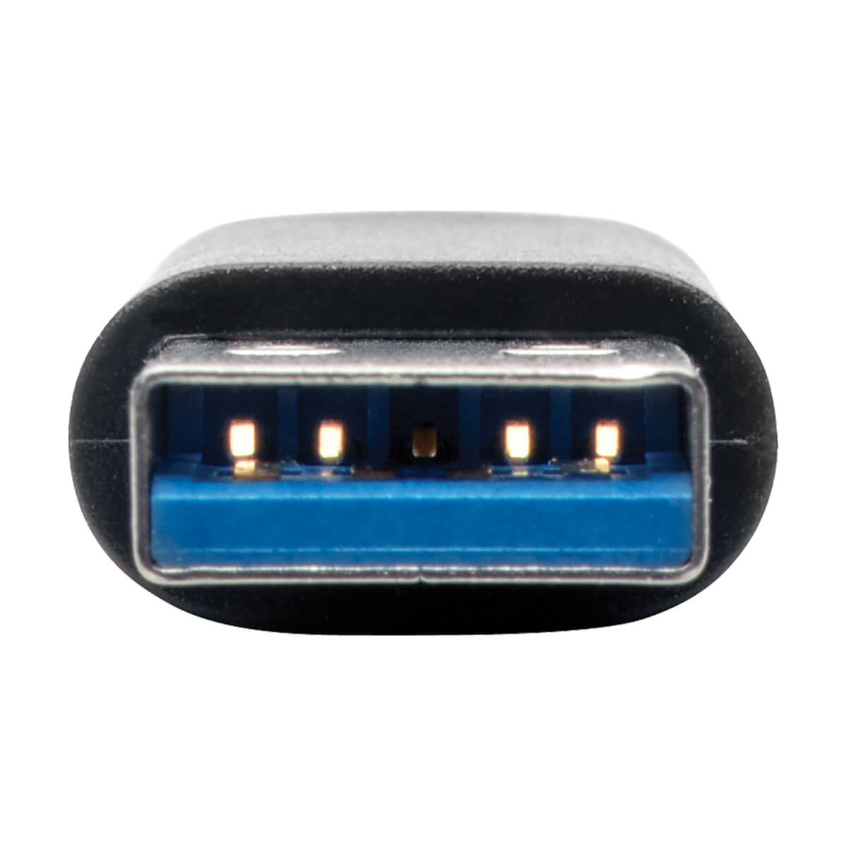 Primo piano di un connettore USB-A con interno blu su sfondo bianco.