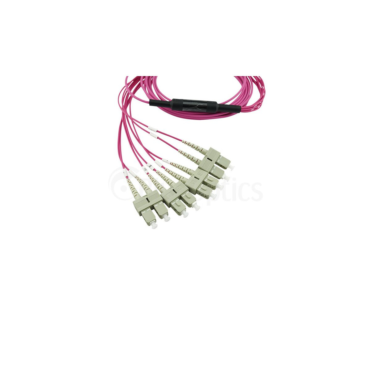 Cavi in fibra ottica rosa con connettori. Connettori multipli in fila.