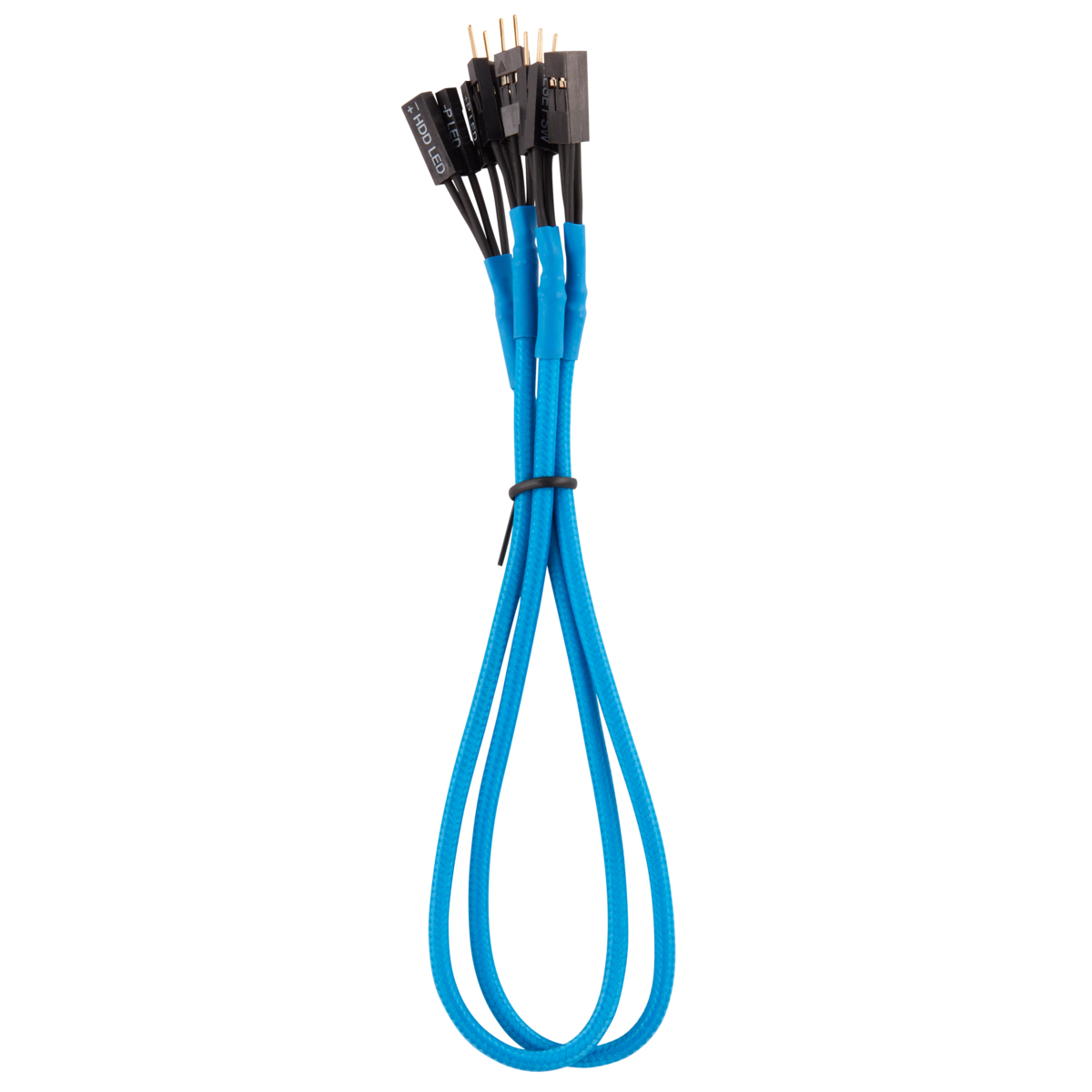 Cavo blu per computer con più connettori, legati, su sfondo bianco.