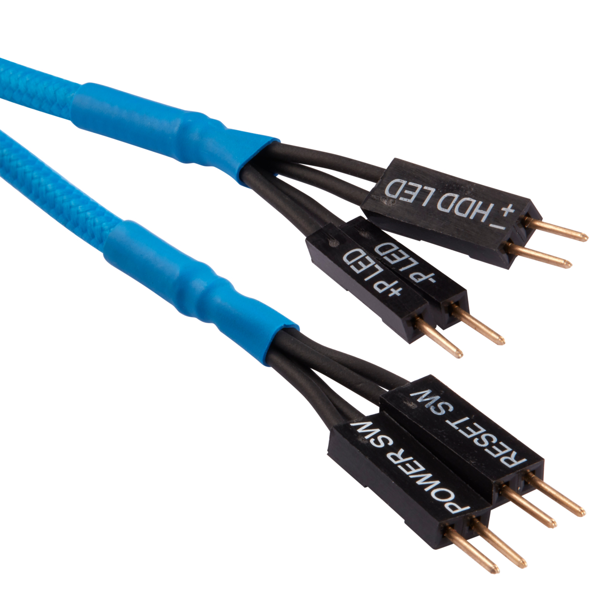 Primo piano di un cavo blu per computer con più connettori, su sfondo bianco.