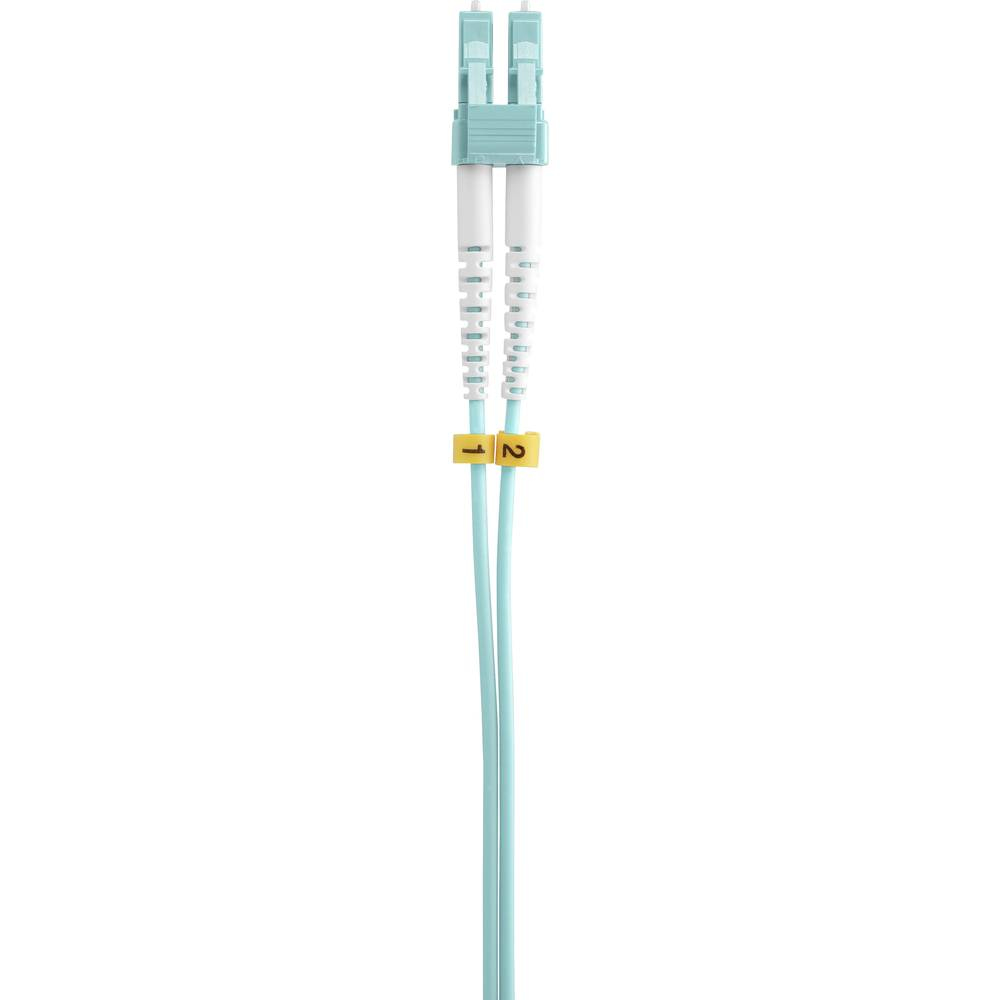 Due cavi in fibra ottica azzurri con connettori bianchi e azzurri.