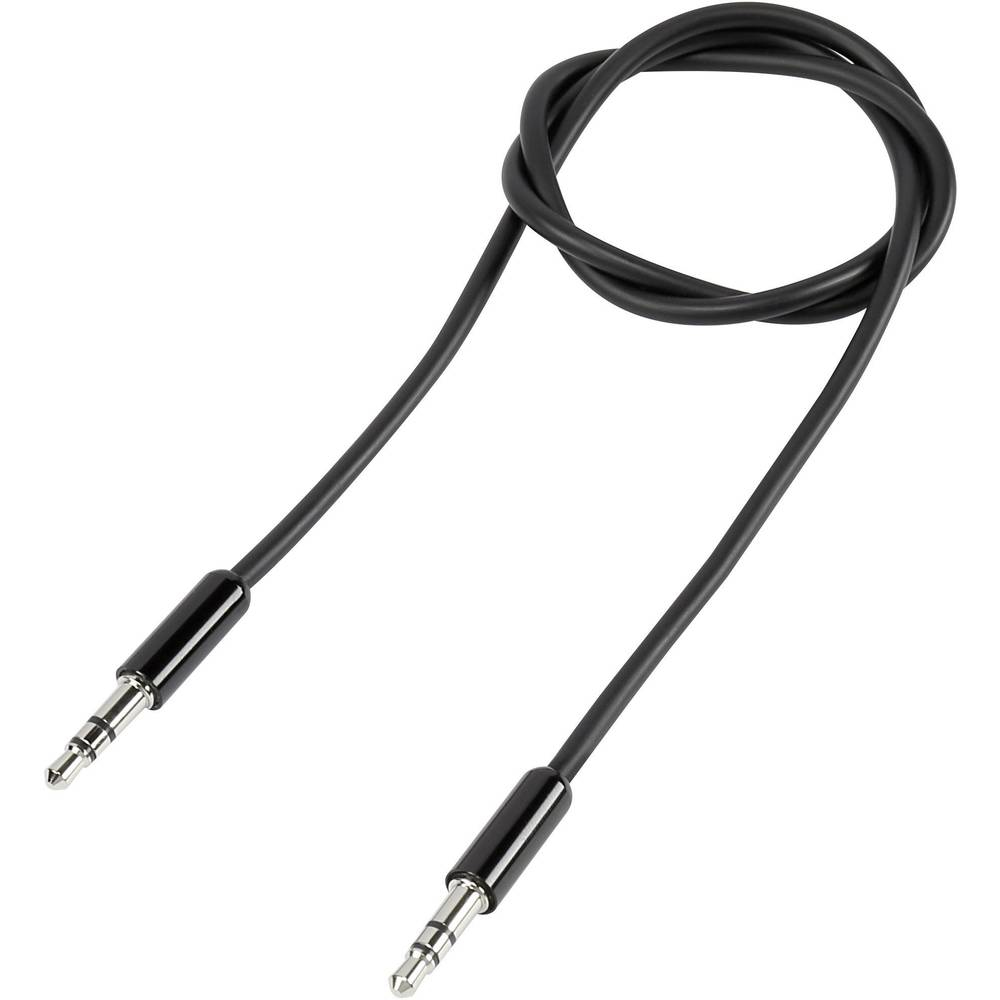 Cavo audio nero con due connettori jack da 3,5 mm.