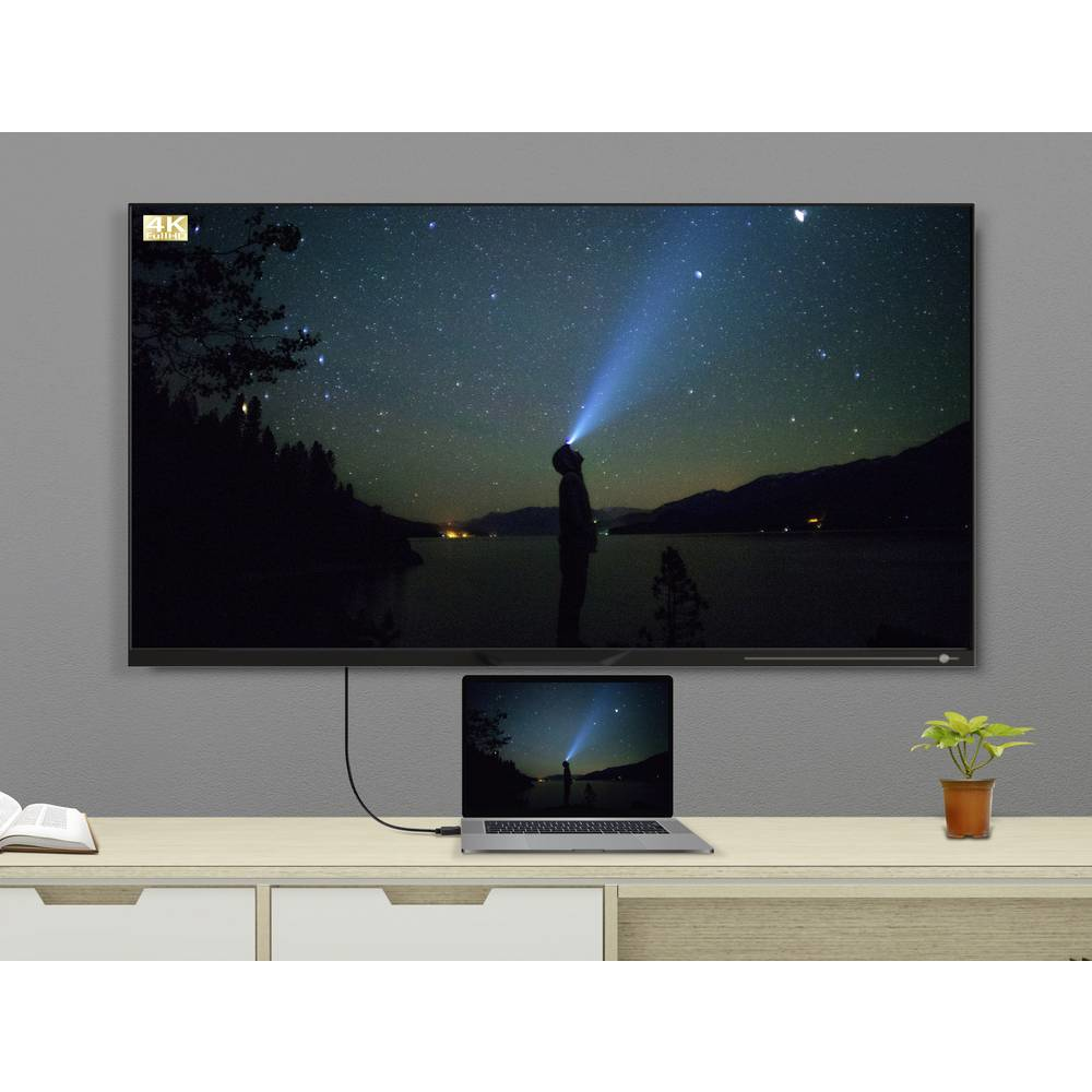 TV con scena notturna stellata, collegata a laptop su scrivania, con pianta.