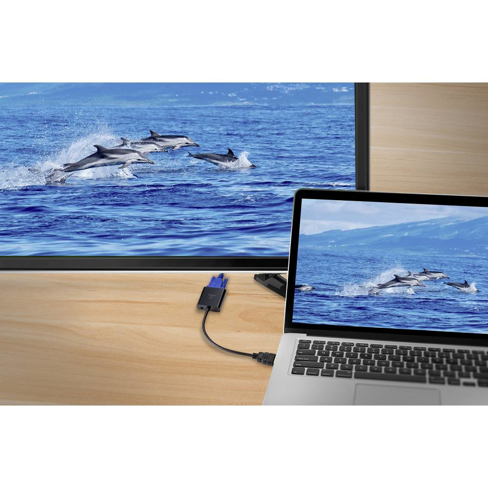 Laptop con delfini sullo schermo, collegato a TV che mostra delfini. Tavolo di legno, cavo in mezzo.