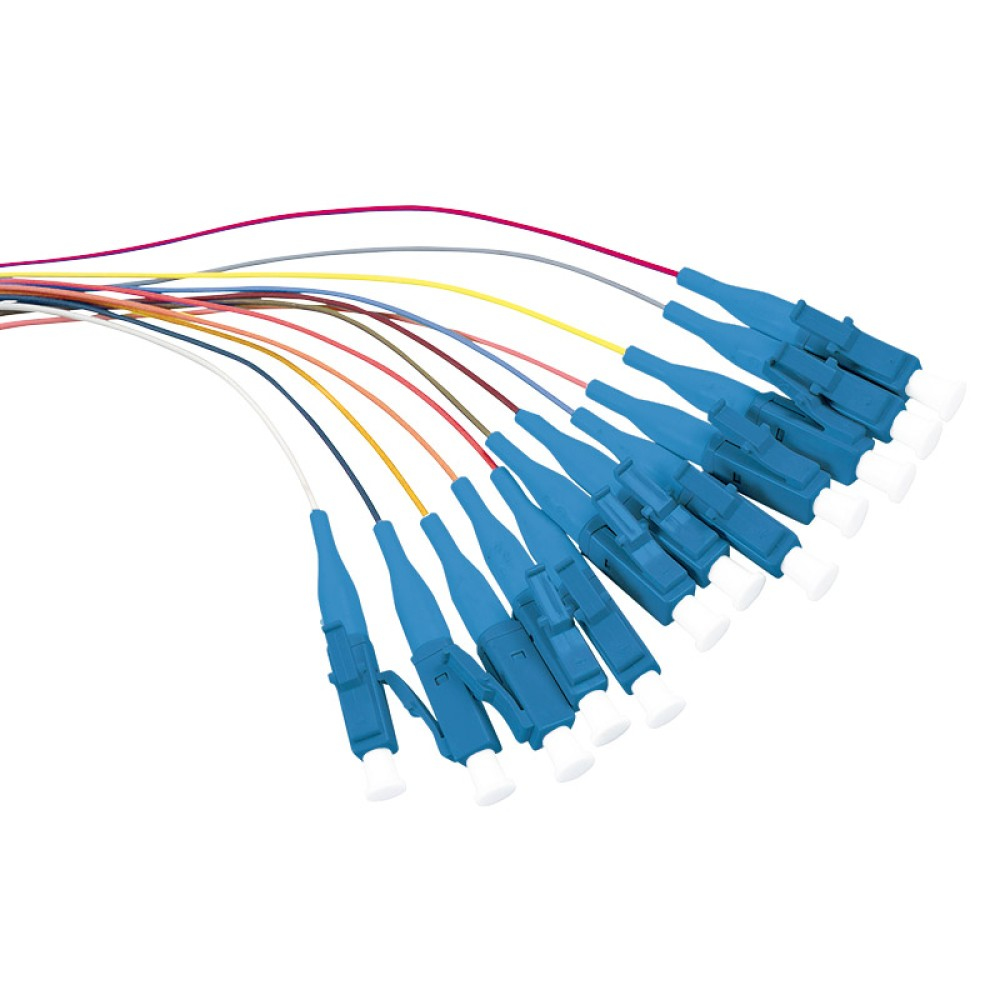 Cavi in fibra ottica blu multipli con connettori. Sono disposti a ventaglio su uno sfondo bianco.