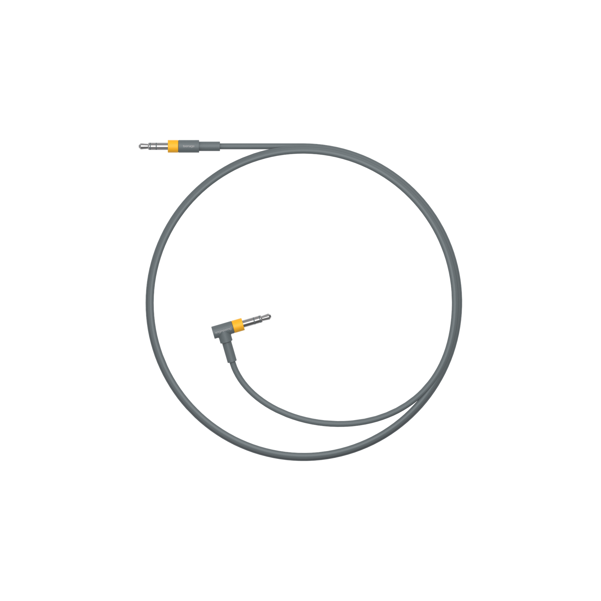 Cavo audio grigio, due jack, sfondo bianco.