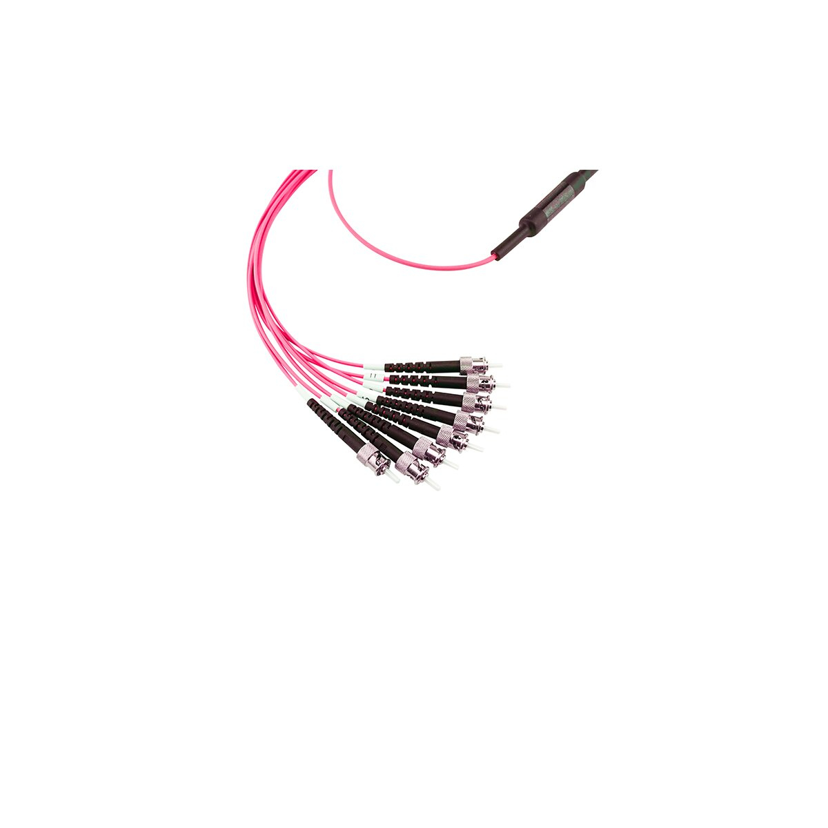 Diversi cavi in fibra ottica con connettori. Cavi rosa, connettori neri, sfondo bianco.