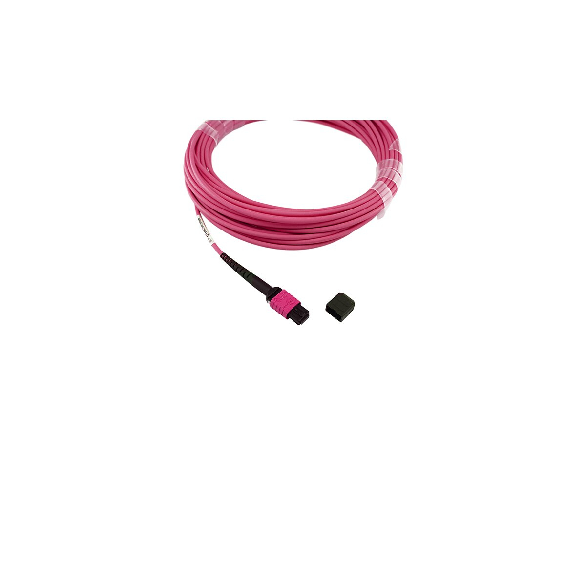 Cavo in fibra ottica rosa arrotolato, connettore nero e tappo nero, sfondo bianco.