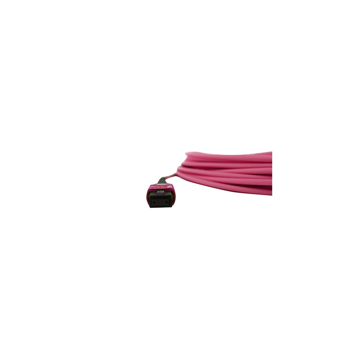 Cavo rosa con connettore, su sfondo bianco.