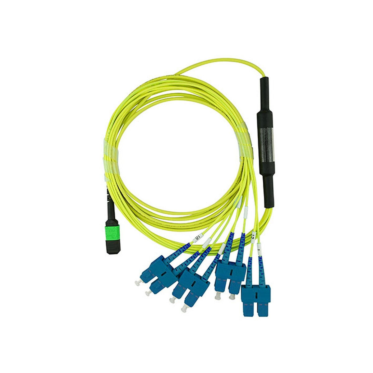 Cavi in fibra ottica gialli con connettori blu e verdi. Cavo e connettore neri sullo sfondo.