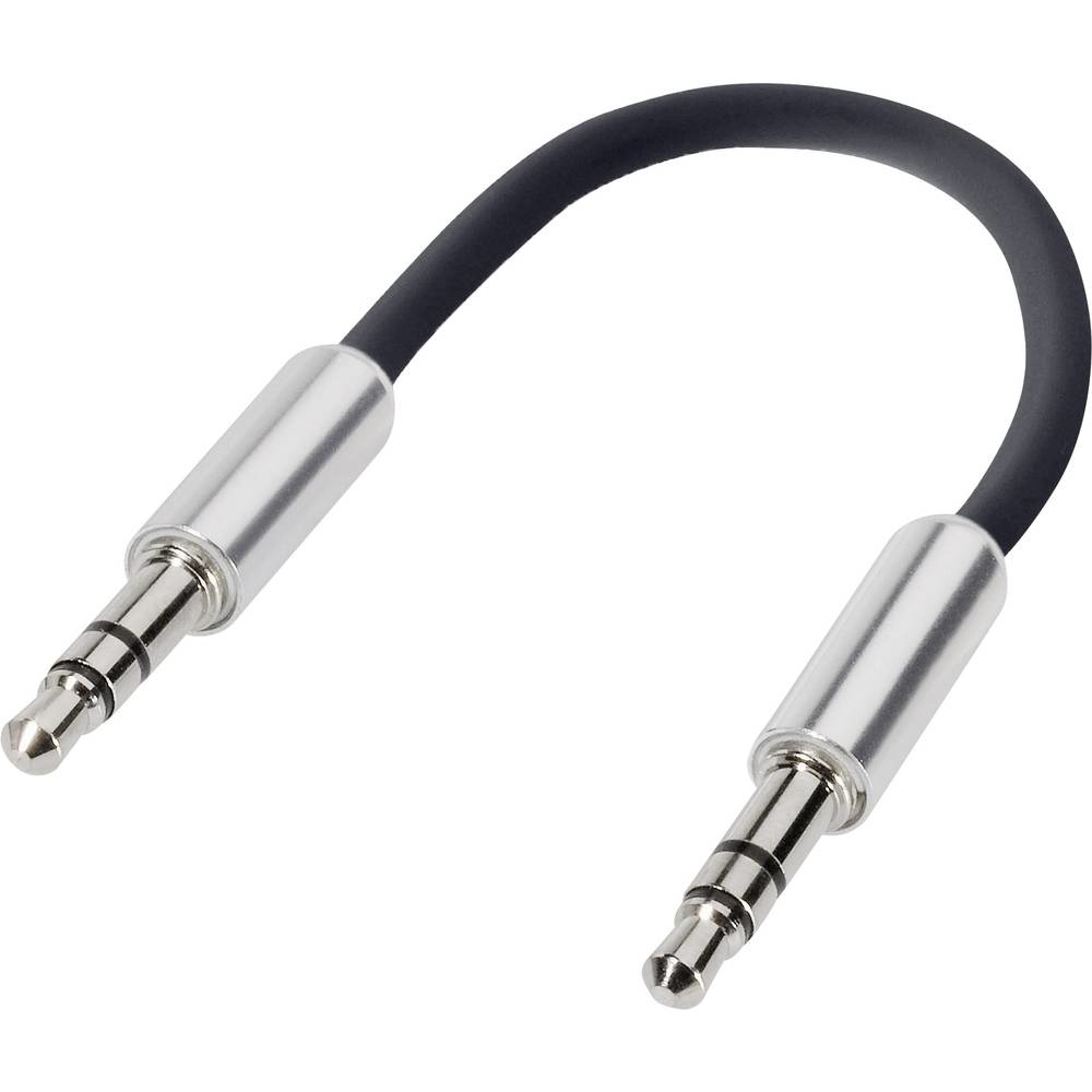 Cavo audio nero con due jack da 3,5 mm su sfondo bianco.