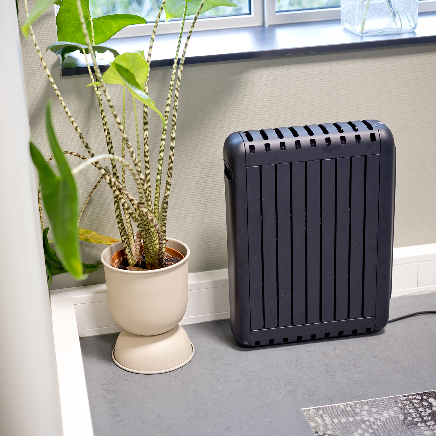 A black space heater stands near a beige pot with a green plant. A window is in the background.