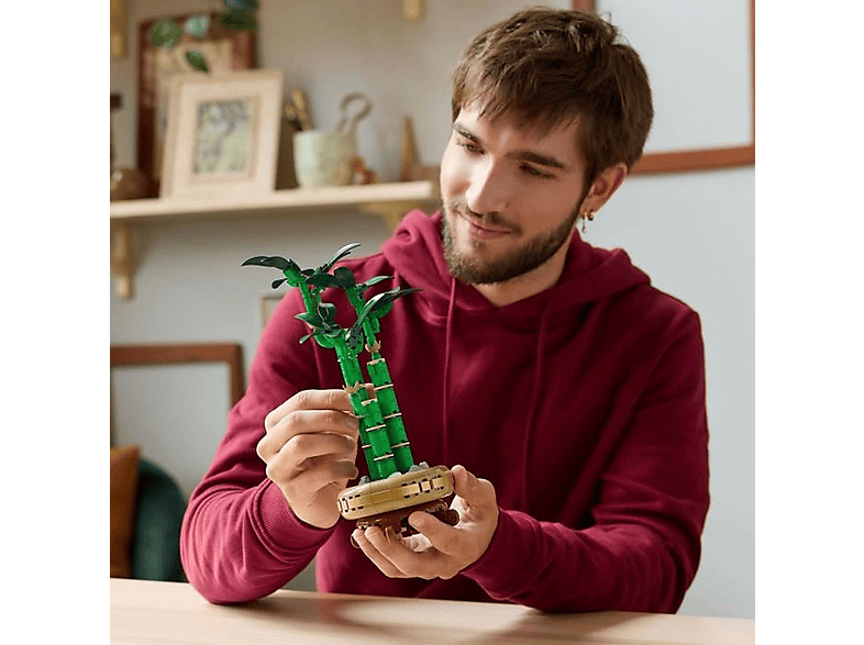 LEGO 10344 Botanicals Şans Bambusu Fiyat & Özellik | MediaMarkt