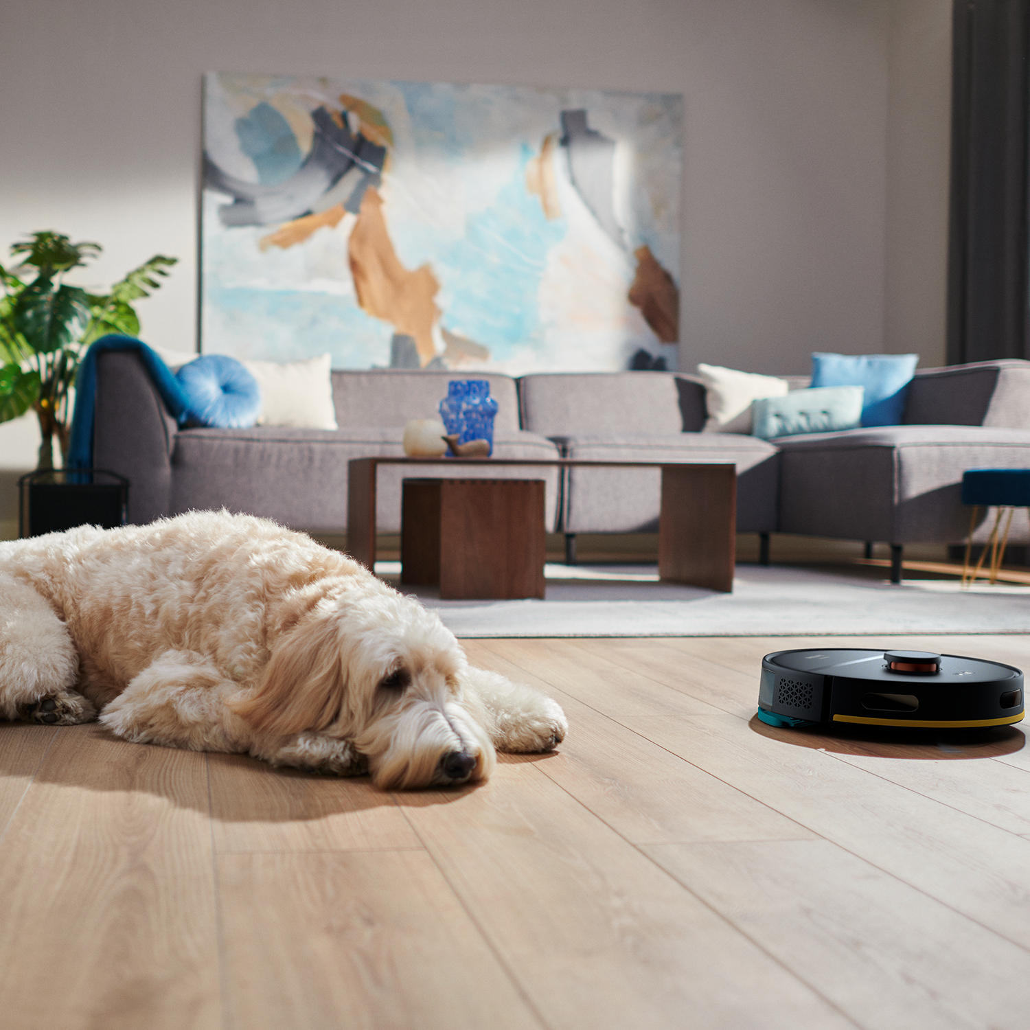 Ein Hund liegt auf Holzboden. Ein Roboterstaubsauger ist daneben. Hintergrund ist ein Wohnzimmer.