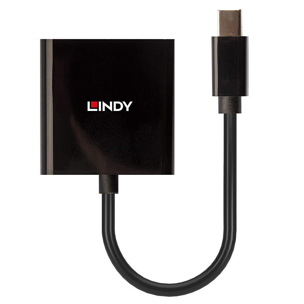 Adattatore Lindy nero con connettore USB-C a un'estremità. L'altra è quadrata.