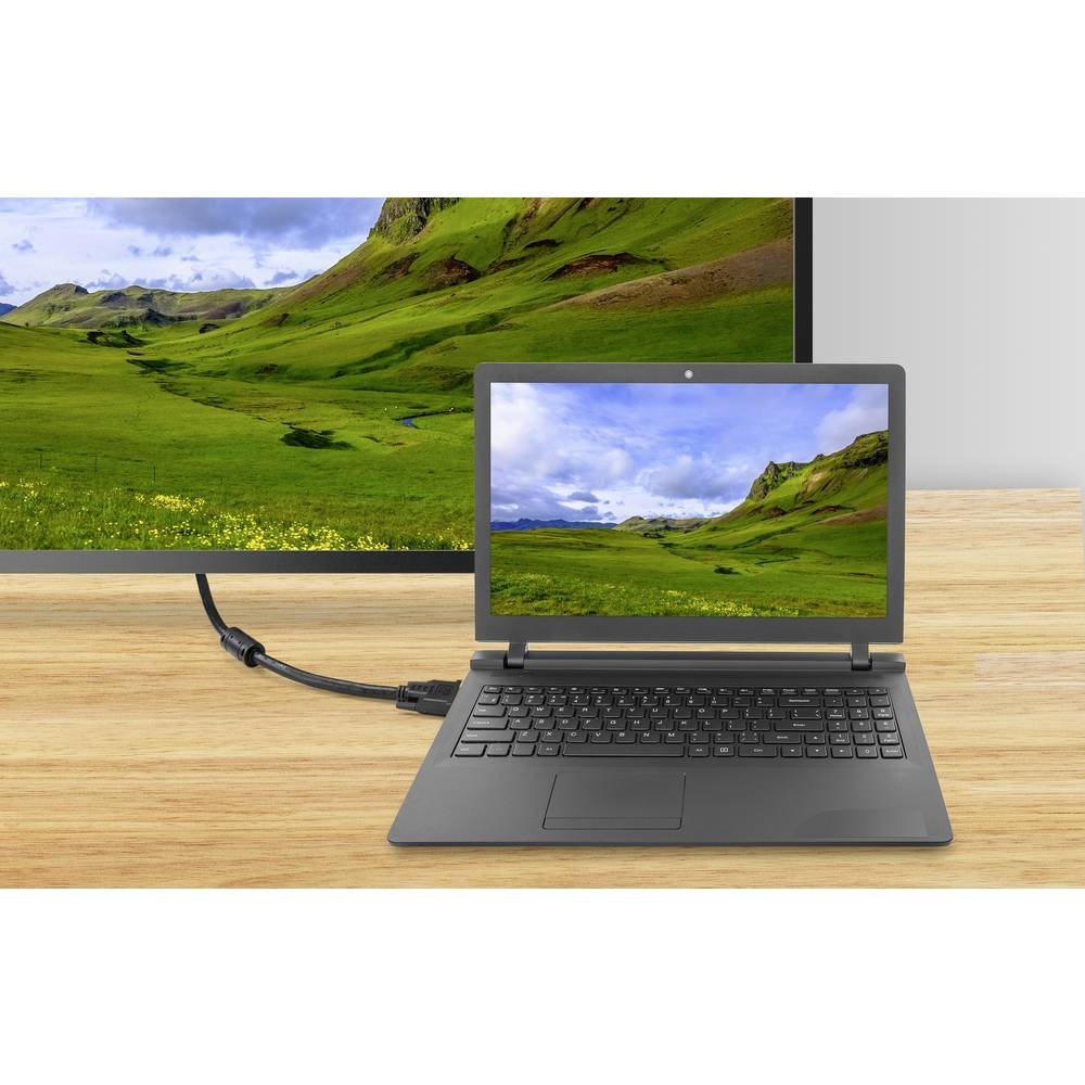 Laptop collegato a un monitor, mostra un paesaggio verde con montagne. Un cavo nero li collega.