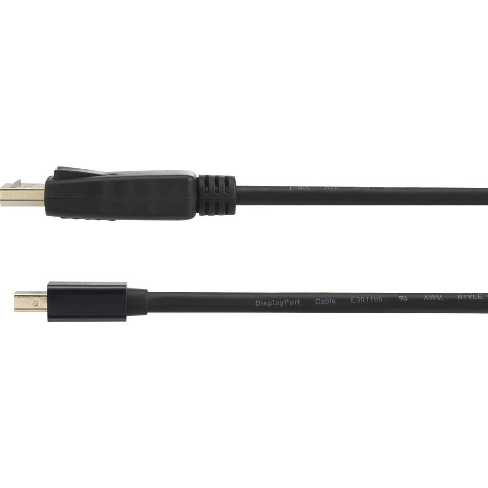 Cavo DisplayPort nero. Un'estremità è collegata a un connettore DisplayPort.