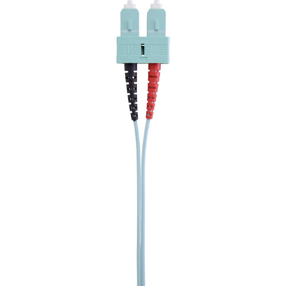 Due cavi azzurri con connettore blu e rosso su sfondo bianco.