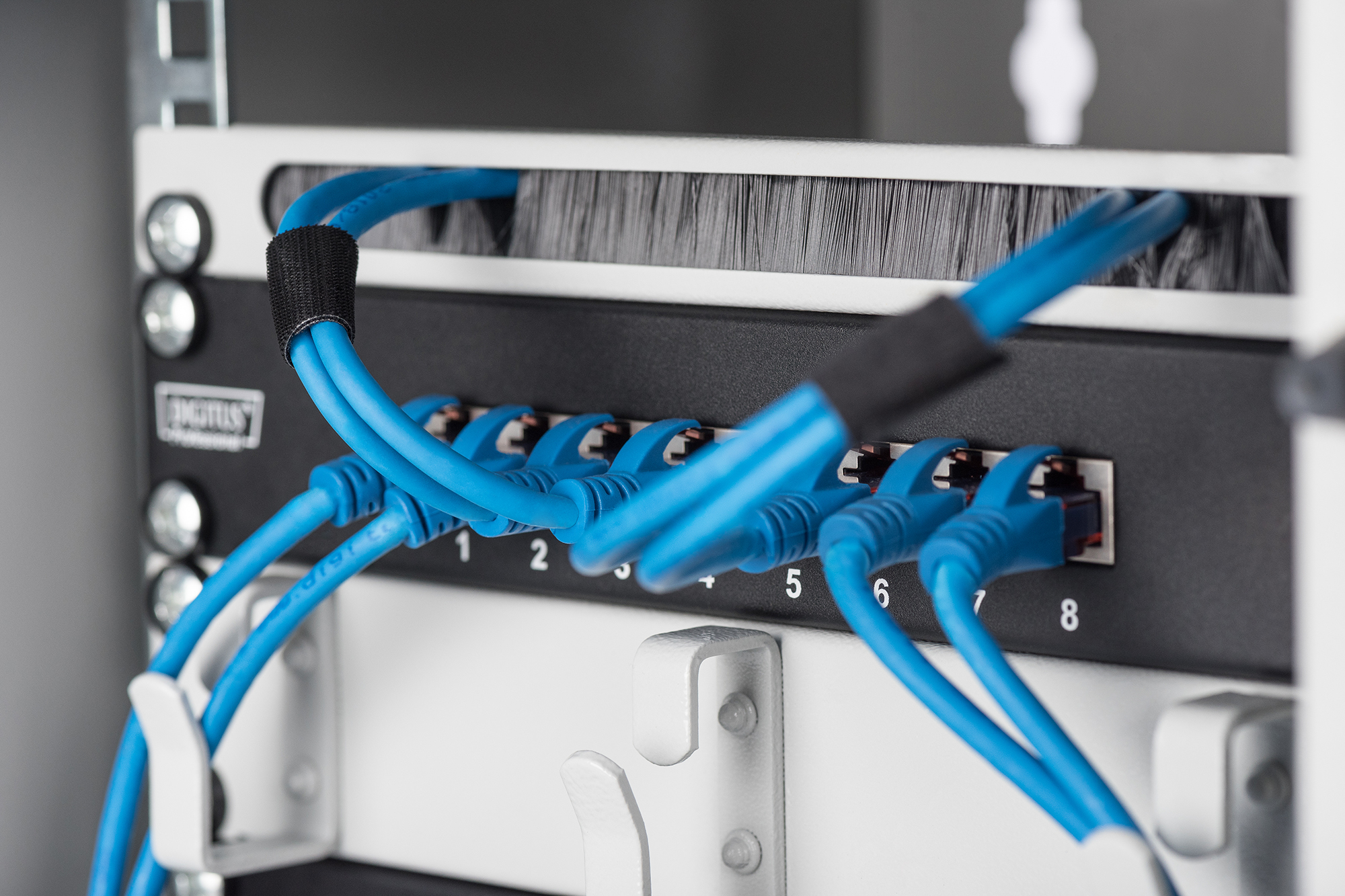 Netzwerkpanel mit blauen Kabeln. Beschriftete Ports und schwarzes Kabel.