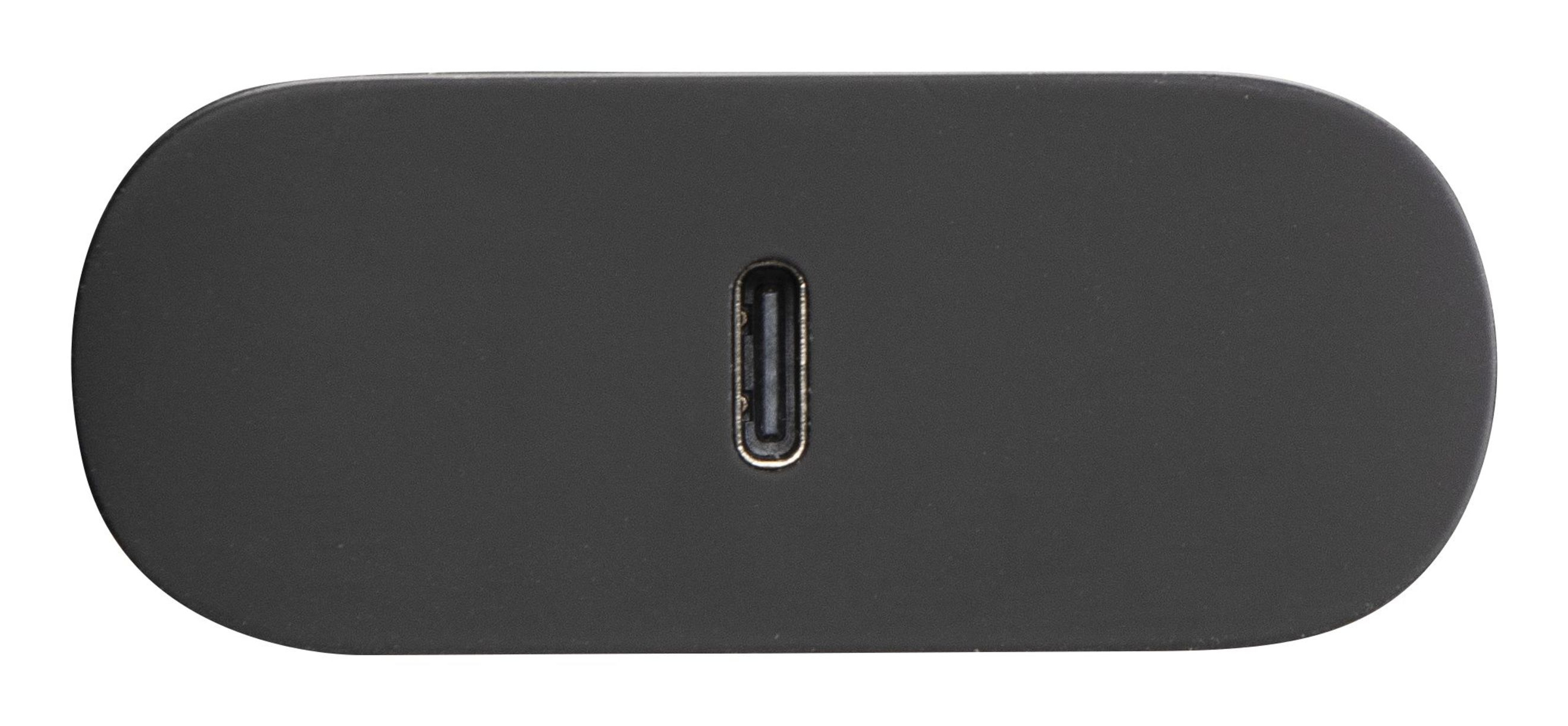 Schwarzes ovales Gerät mit einem USB-C-Anschluss in der Mitte.