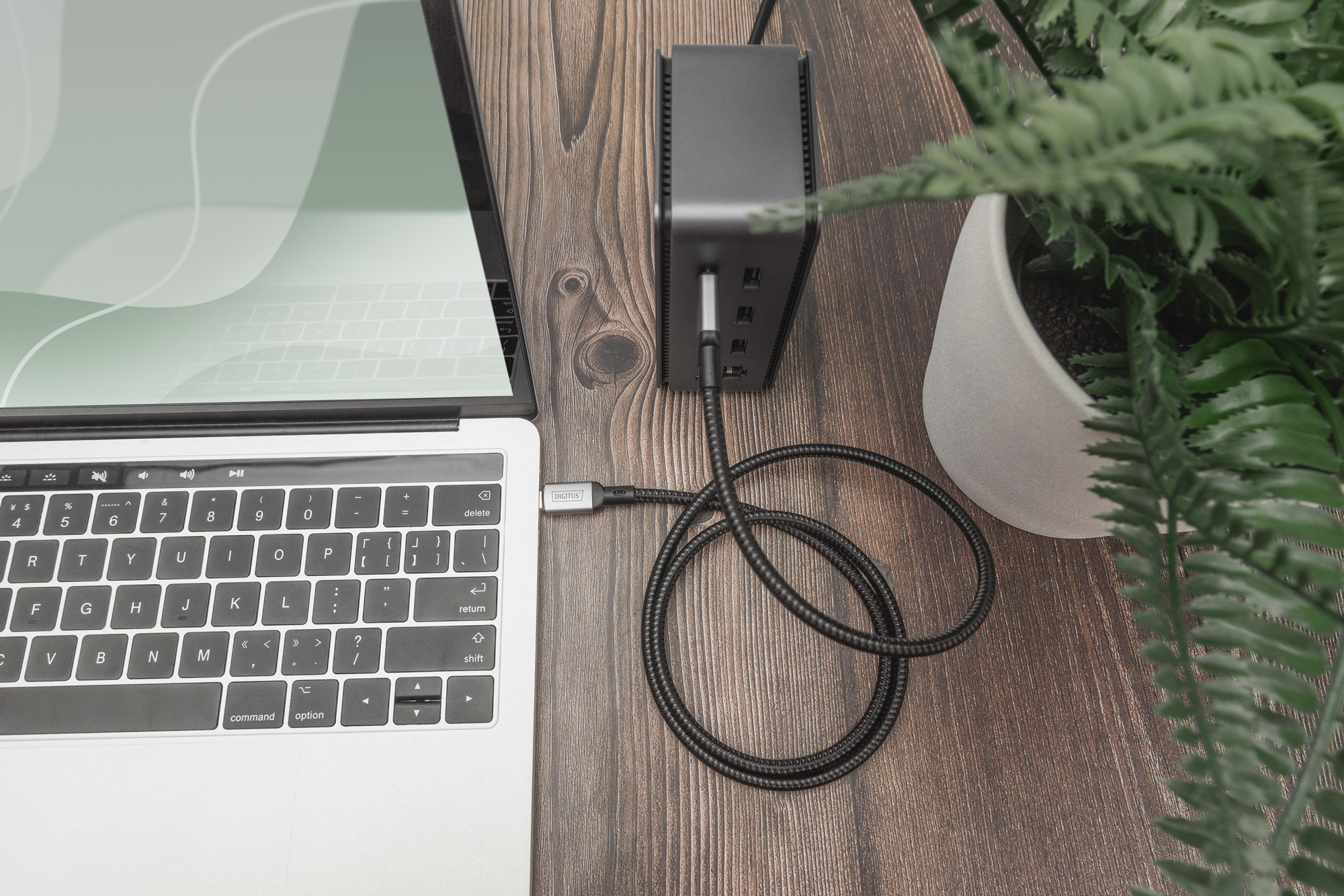 Laptop, hub USB i paproć na drewnianej powierzchni, widok z góry.