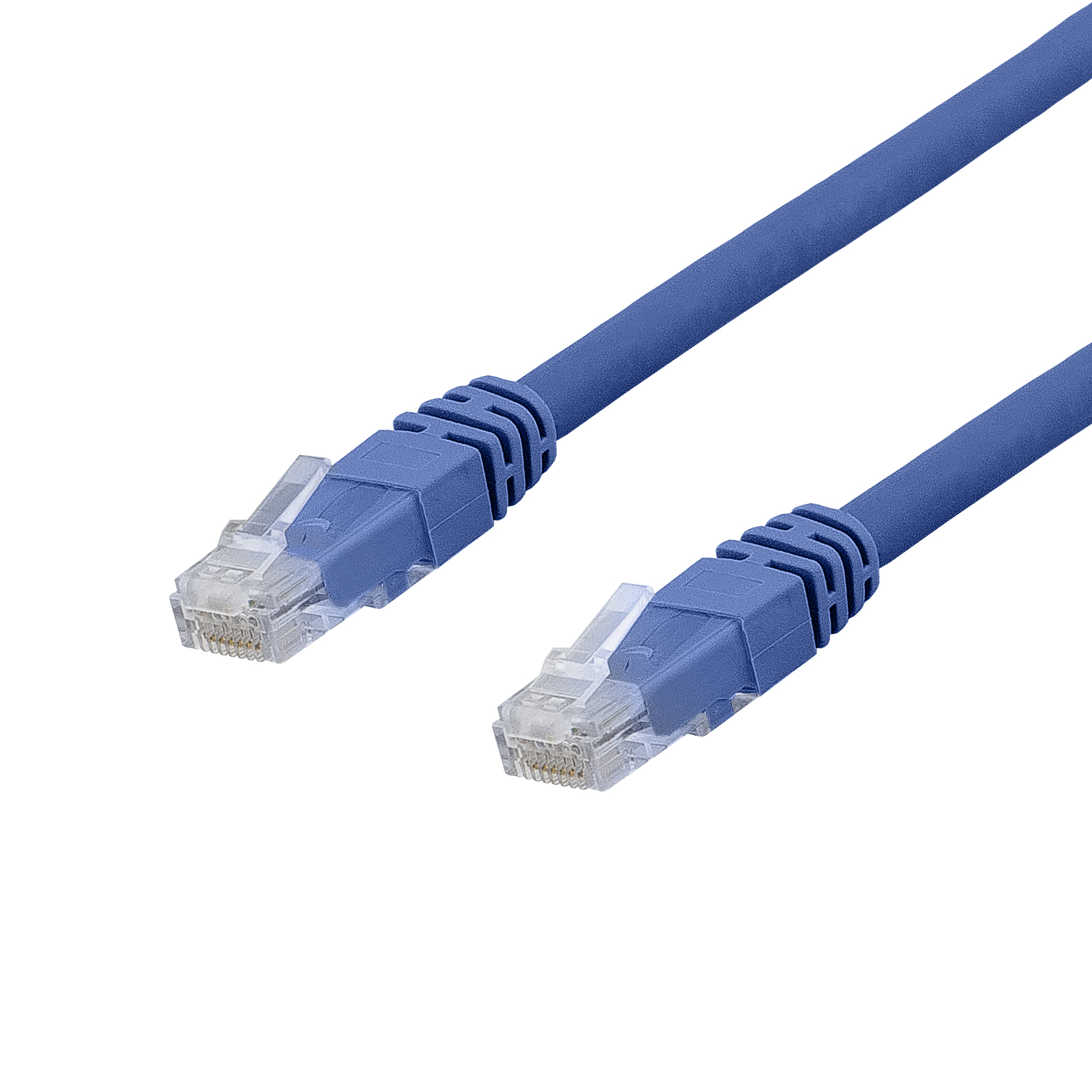 Due cavi Ethernet blu con connettori, isolati su sfondo bianco.