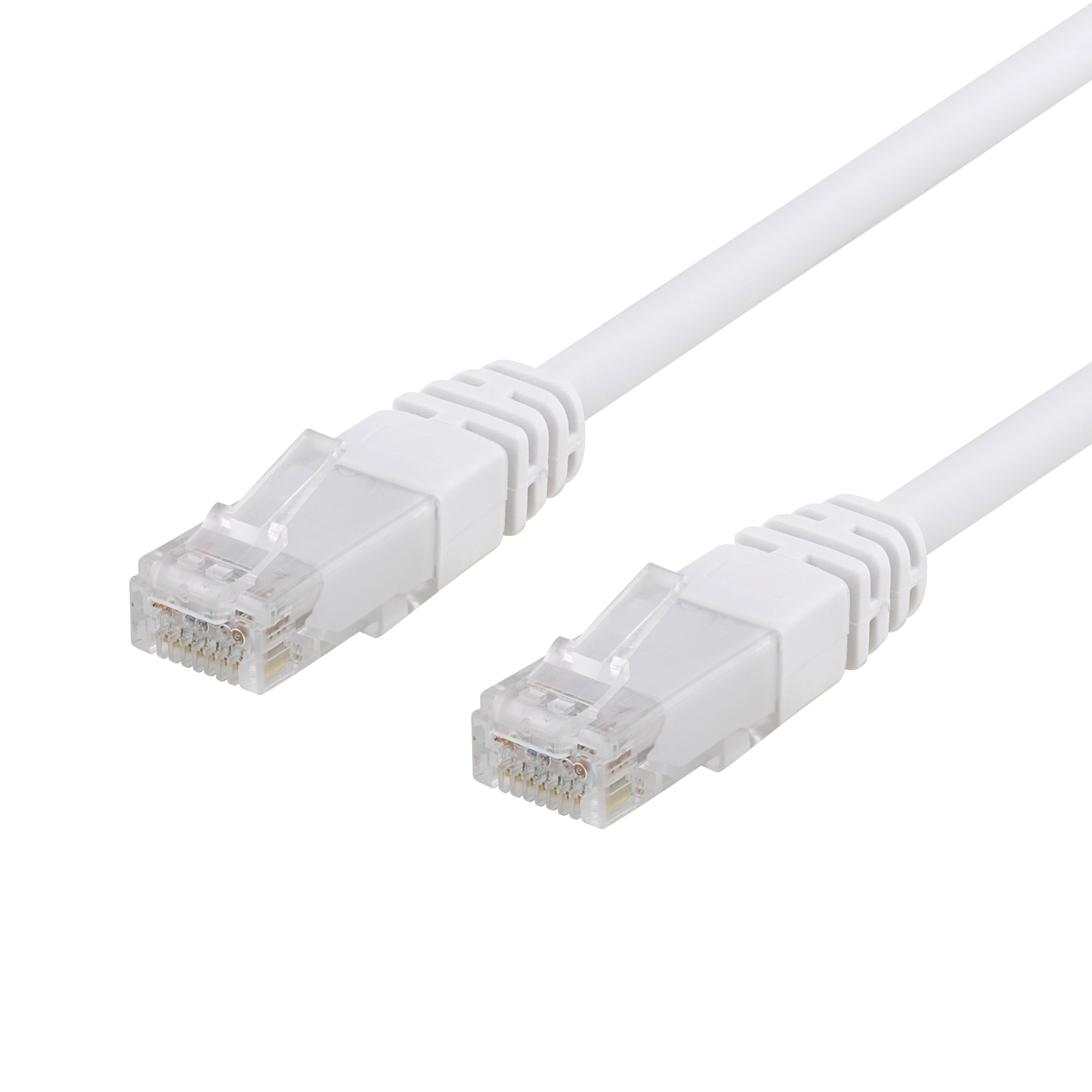 Cavo di rete bianco con due connettori RJ45, sfondo bianco.