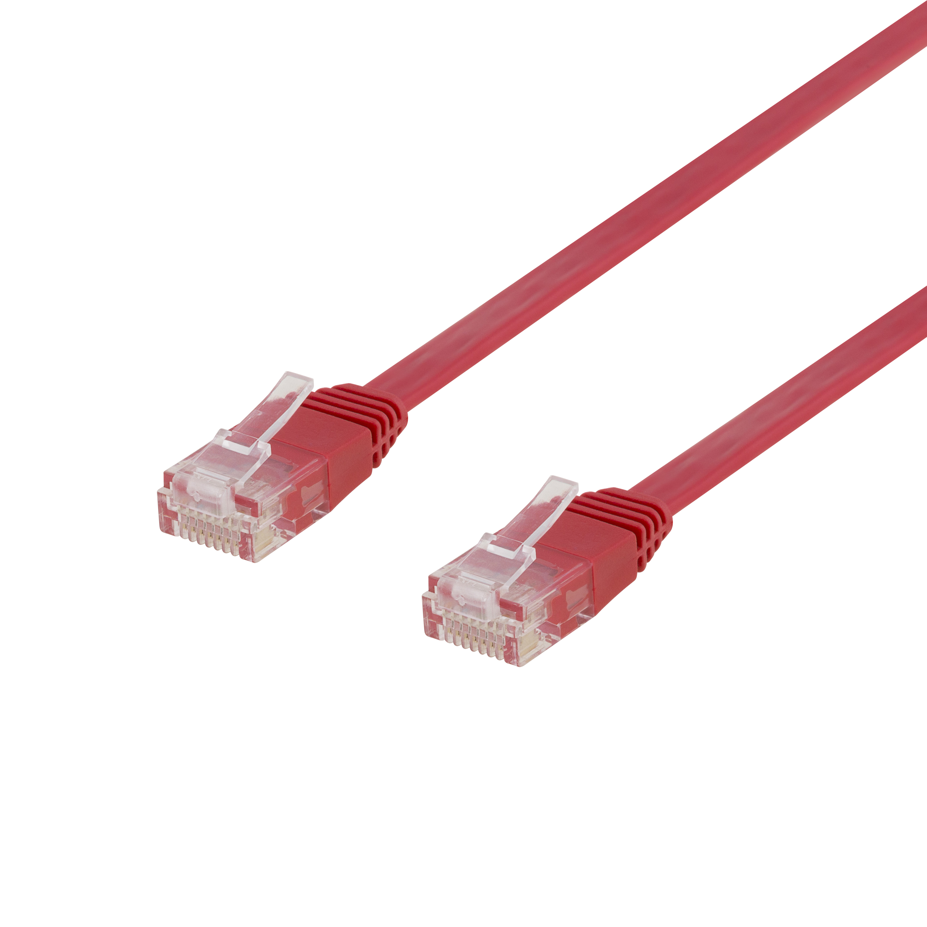Due cavi Ethernet rossi con connettori trasparenti su sfondo bianco.