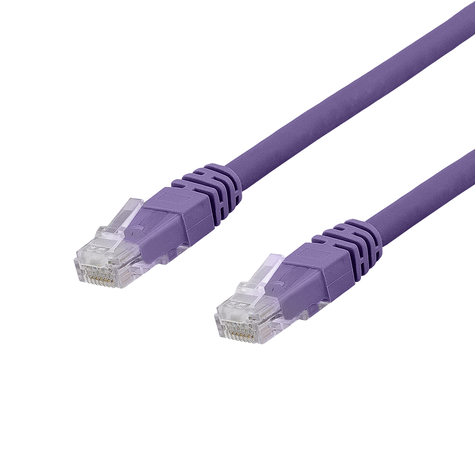 Un cavo di rete viola con connettori viola su sfondo bianco.