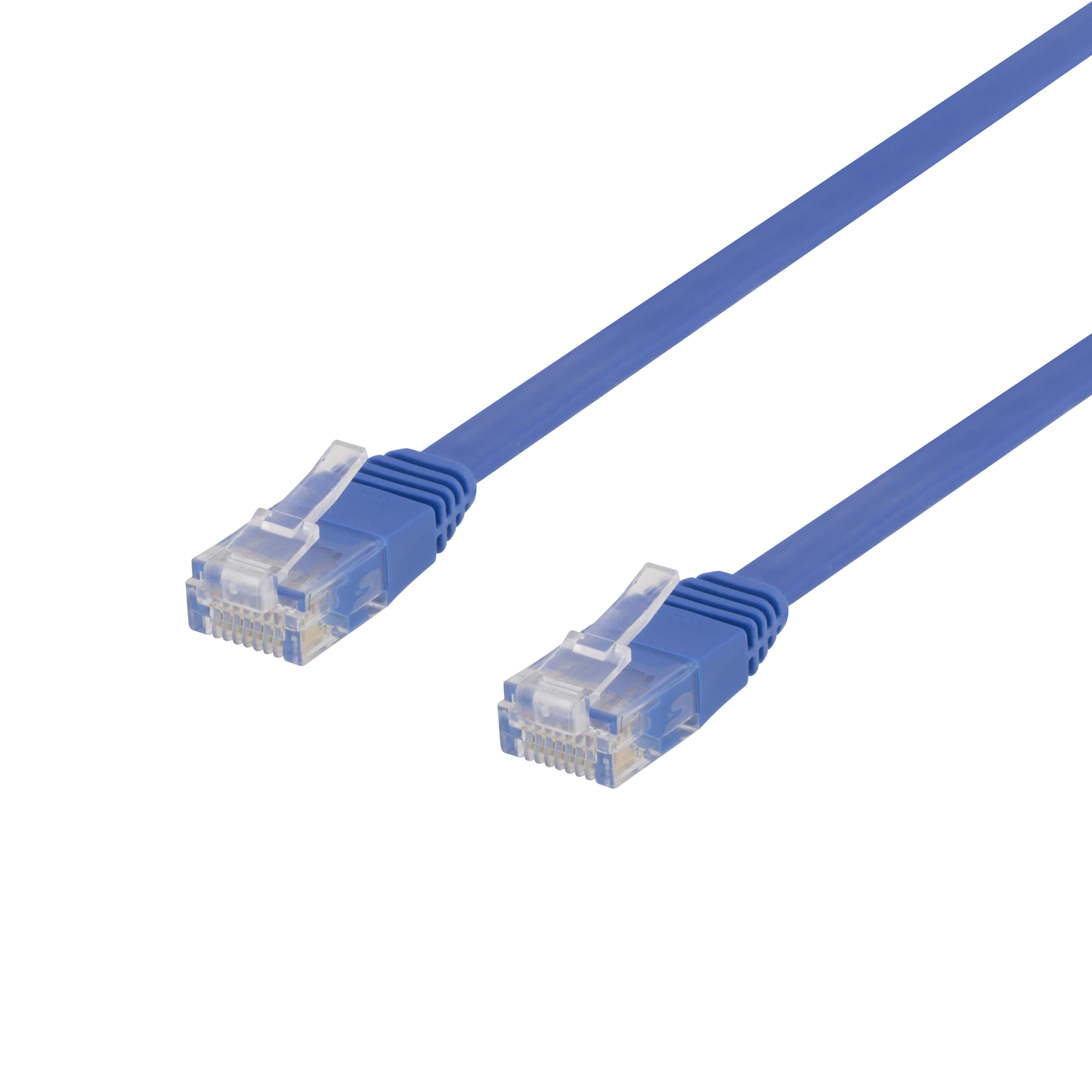 Cavo Ethernet blu con due connettori RJ45 su sfondo bianco.