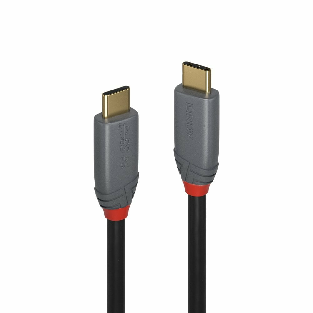 Due cavi USB-C con estremità grigie e dettagli rossi, su sfondo bianco.