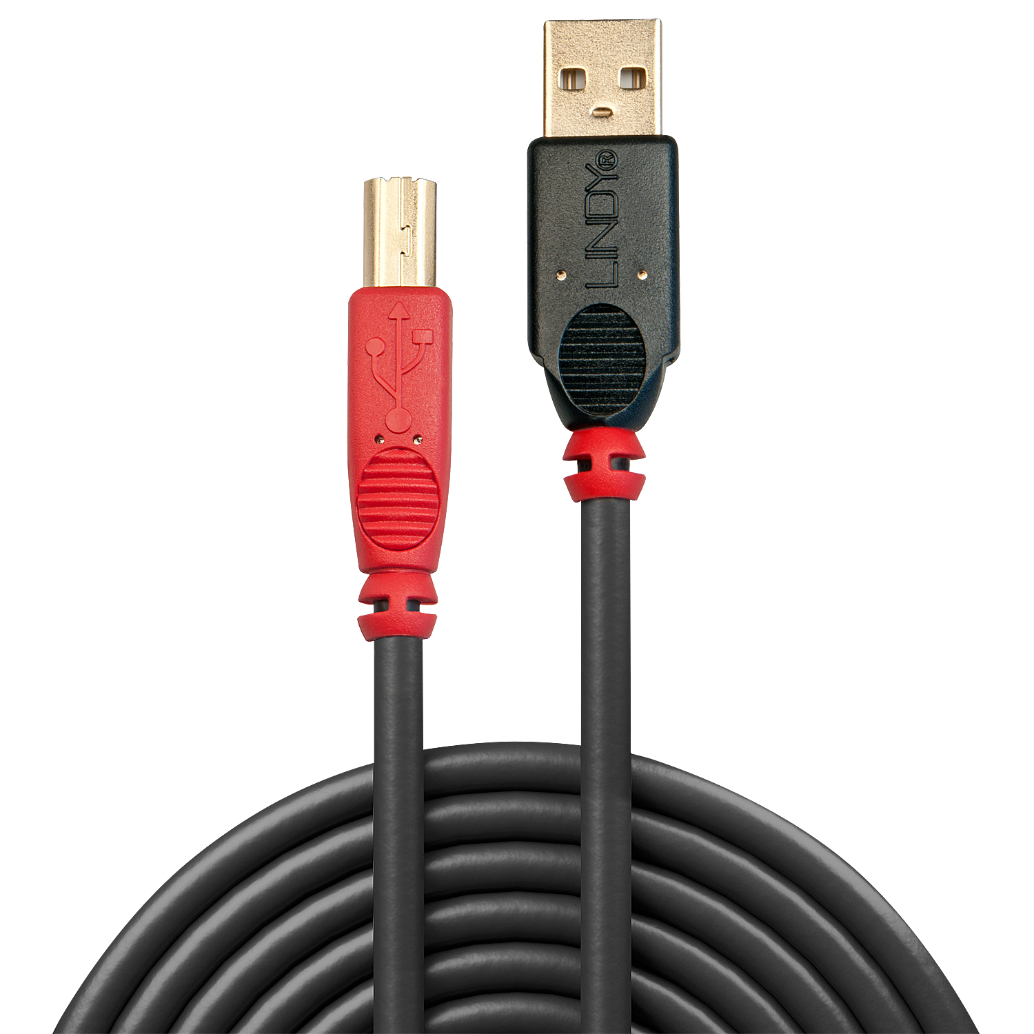 Câble USB noir et rouge. Connecteurs rouges et noirs. Fond blanc. Texte : LINDY.