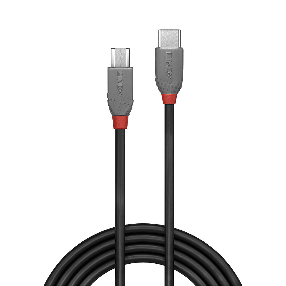Due cavi USB-C neri. I connettori sono grigi con dettagli rossi. Il cavo è nero. LINDY è stampato sui connettori.