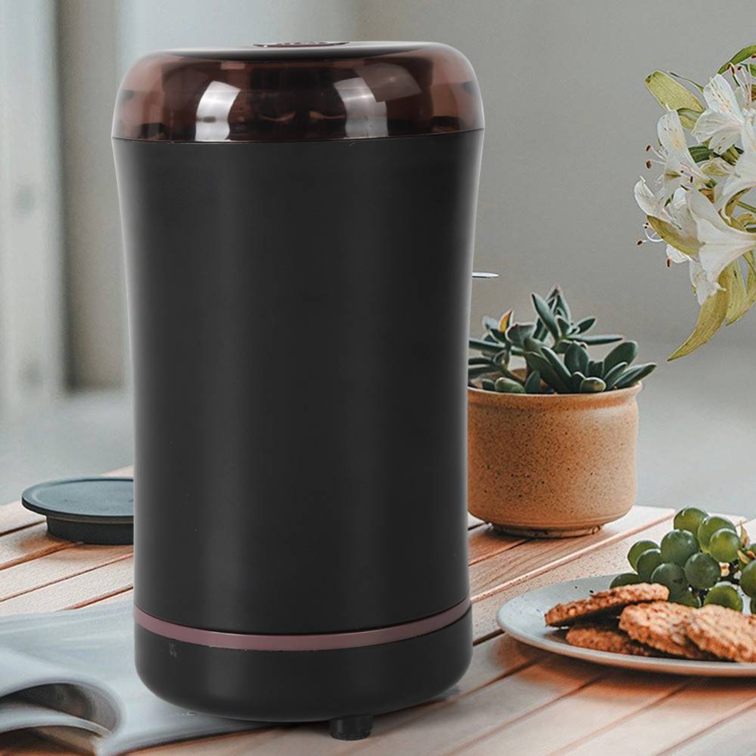 Schwarze und braune Kaffeemühle mit transparentem Deckel und Pflanze im Hintergrund.