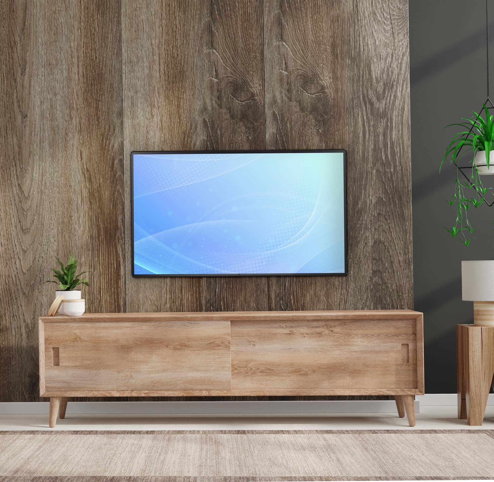 Wohnzimmer mit TV über Holzschrank. Pflanzen und Dekoration sind vorhanden.