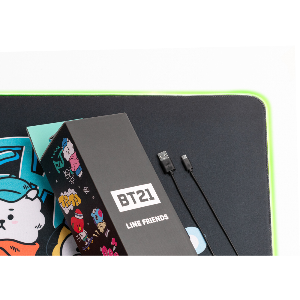 Eine schwarze Box mit BT21 und Line Friends, mit zwei schwarzen USB-Kabeln.