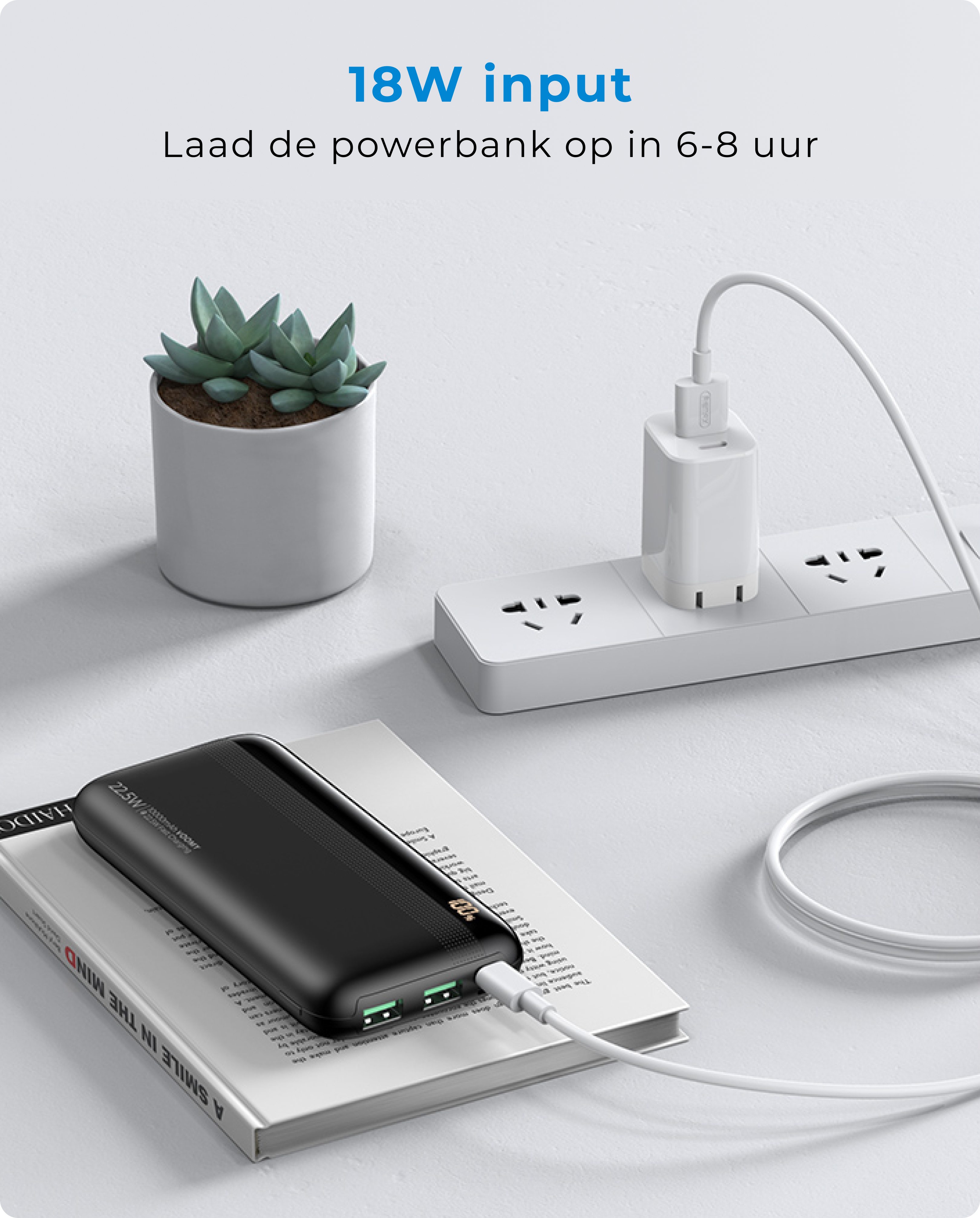 Schwarze Powerbank lädt, verbunden mit weißem Ladegerät auf weißer Oberfläche mit Pflanze.