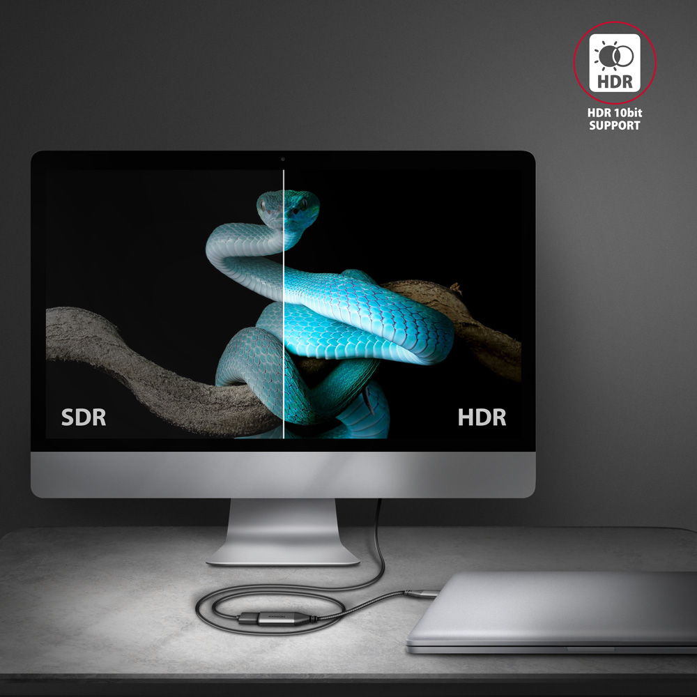 Ekran wyświetlający zawartość SDR i HDR, z wężem. Podłączony laptop.