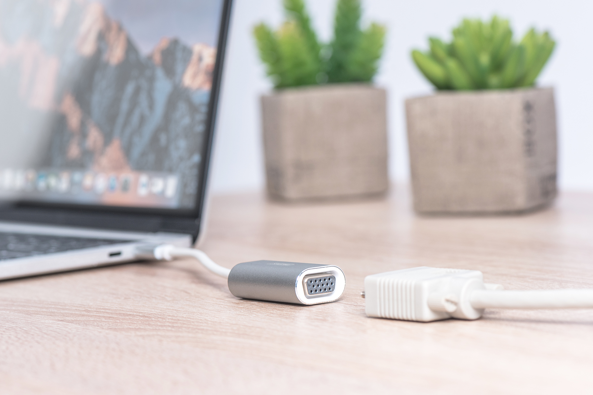 Laptop podłączony do adaptera VGA, z dwoma roślinami doniczkowymi na drewnianym stole.