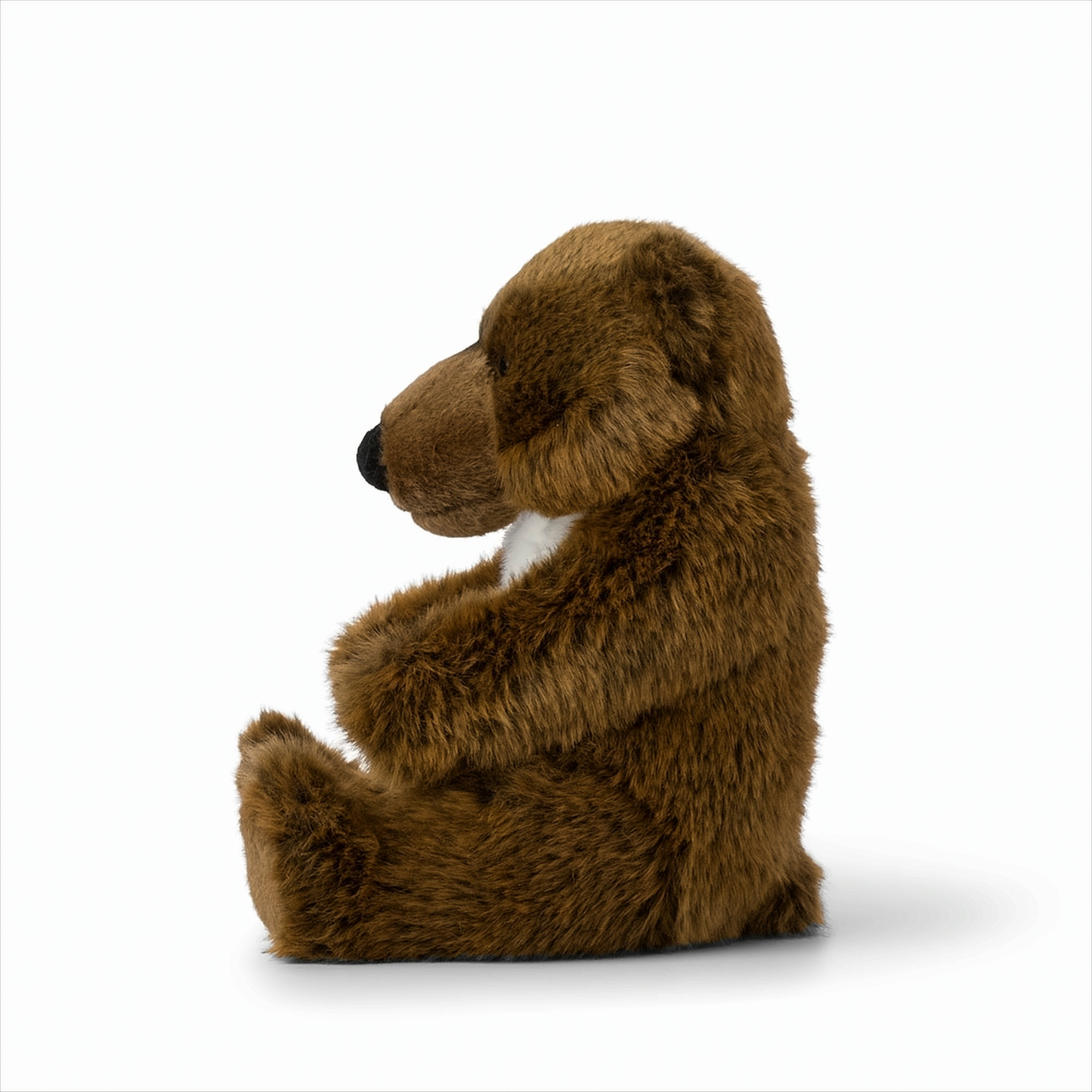 Ein brauner Teddybär sitzt auf weißem Untergrund, von der Seite gesehen. Der Bär hat eine schwarze Nase.