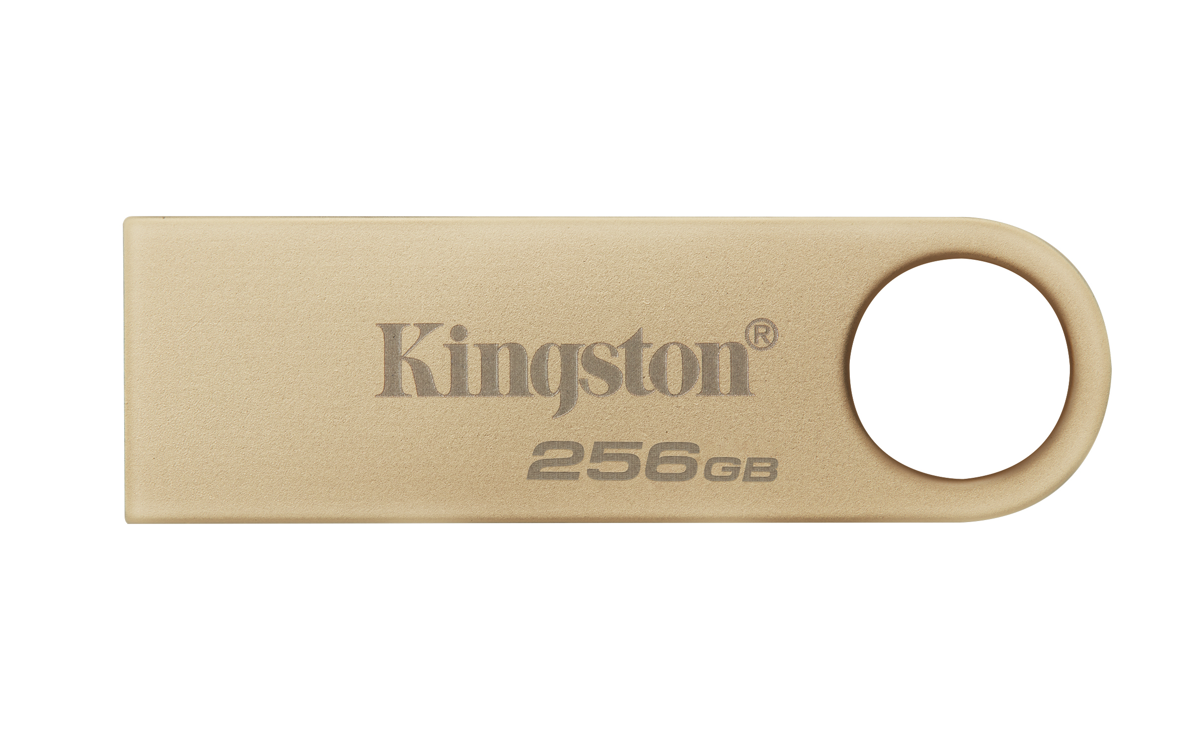 KINGSTON TECHNOLOGY DataTraveler SE9 Gen 1 USB 3.2 256 GB USB Bellek