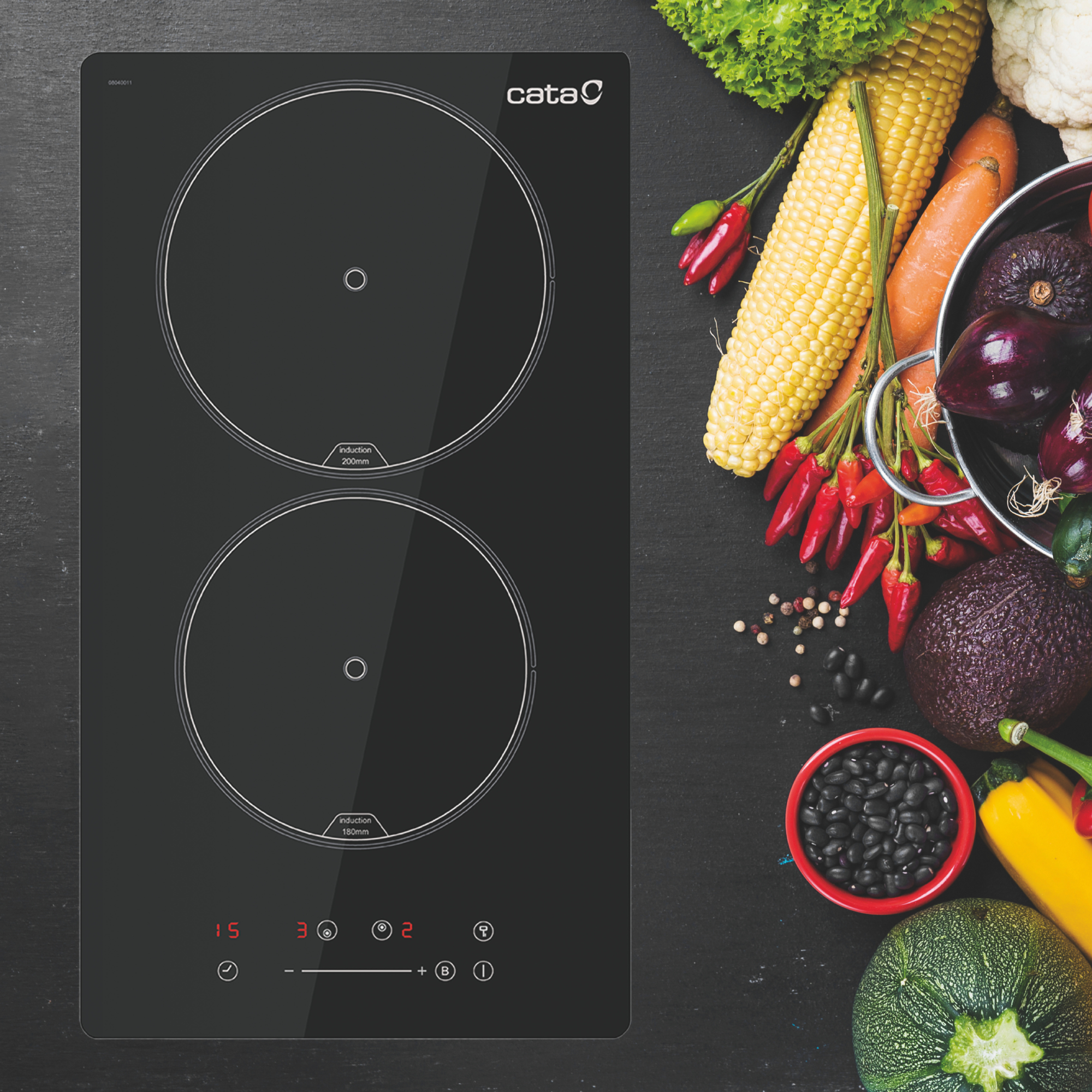 Placa de inducción negra con dos quemadores circulares, rodeada de verduras e ingredientes.